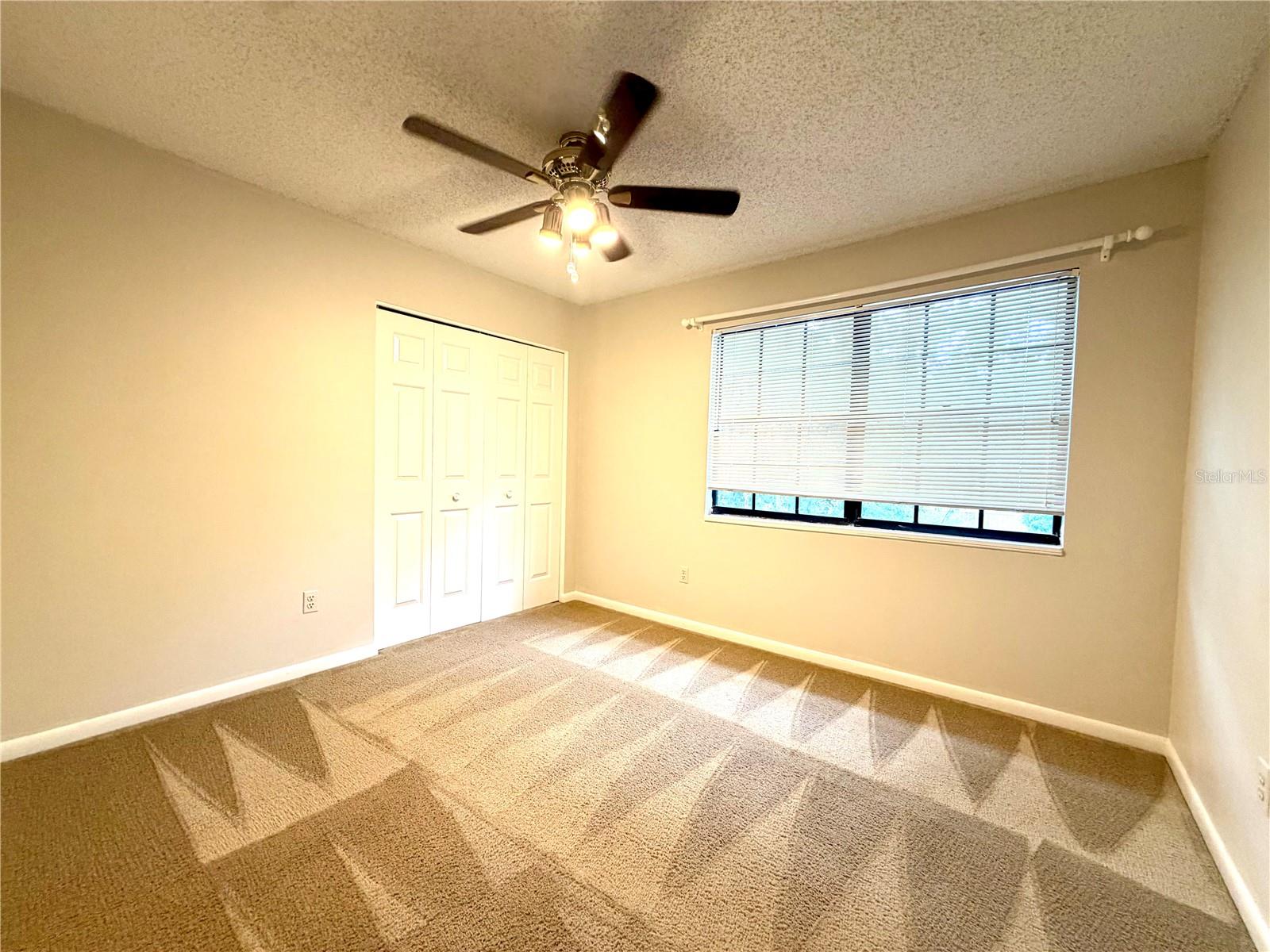 14904 LAKE FOREST DR, LUTZ, FL, 33559