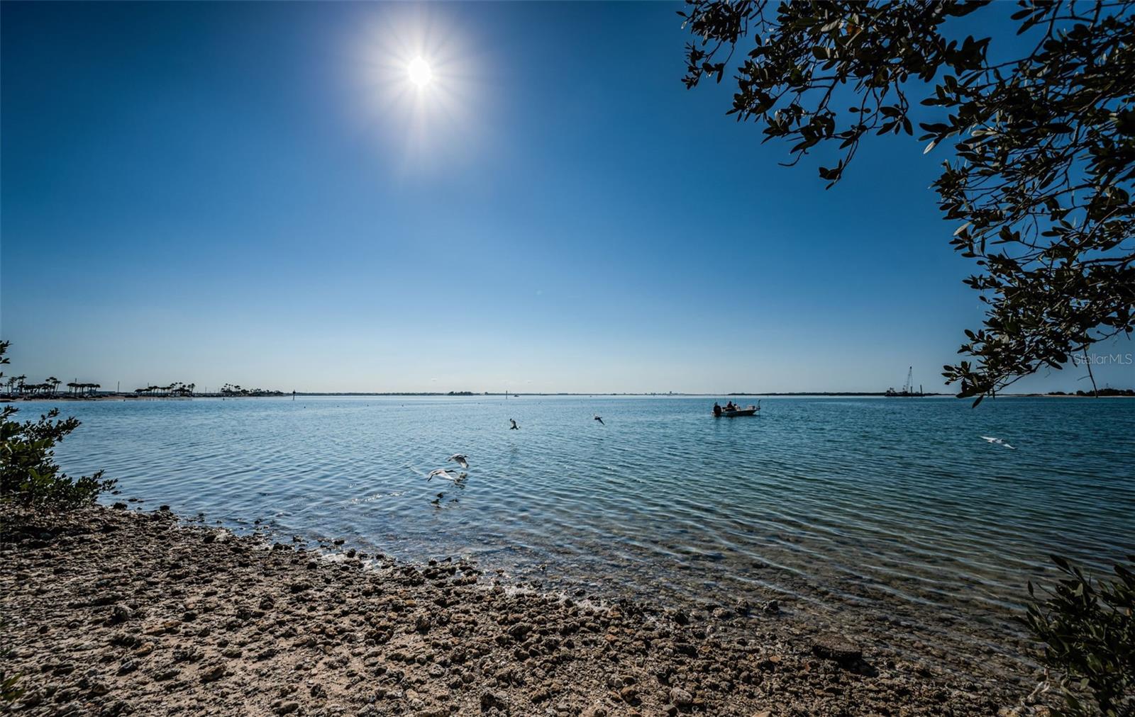 2 CAUSEWAY BLVD #208, DUNEDIN, FL, 34698