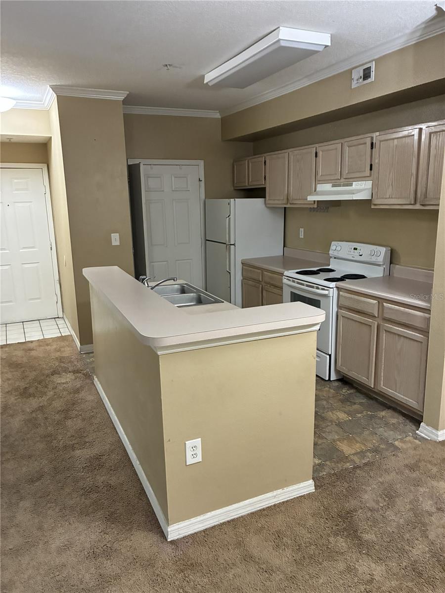 5618 PINNACLE HEIGHTS CIR #312, TAMPA, FL, 33624