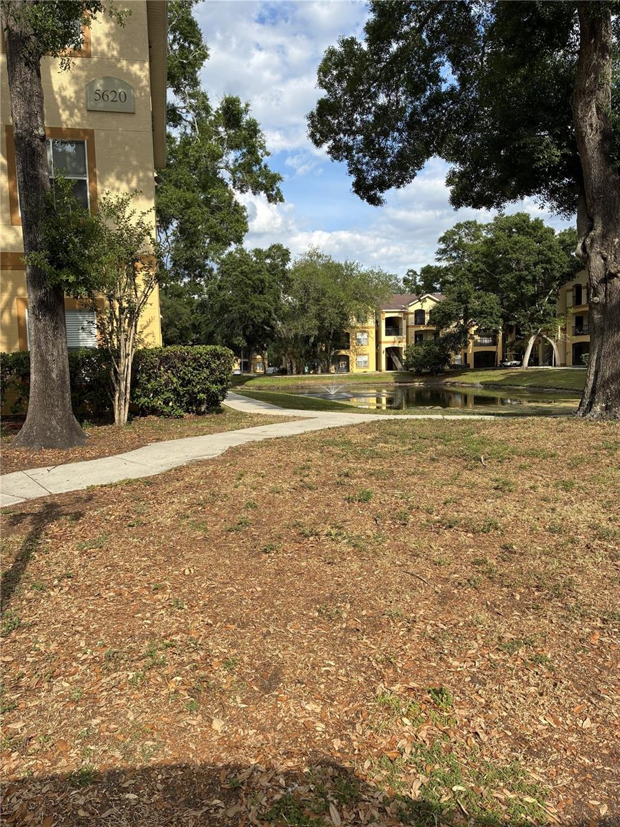 5618 PINNACLE HEIGHTS CIR #312, TAMPA, FL, 33624