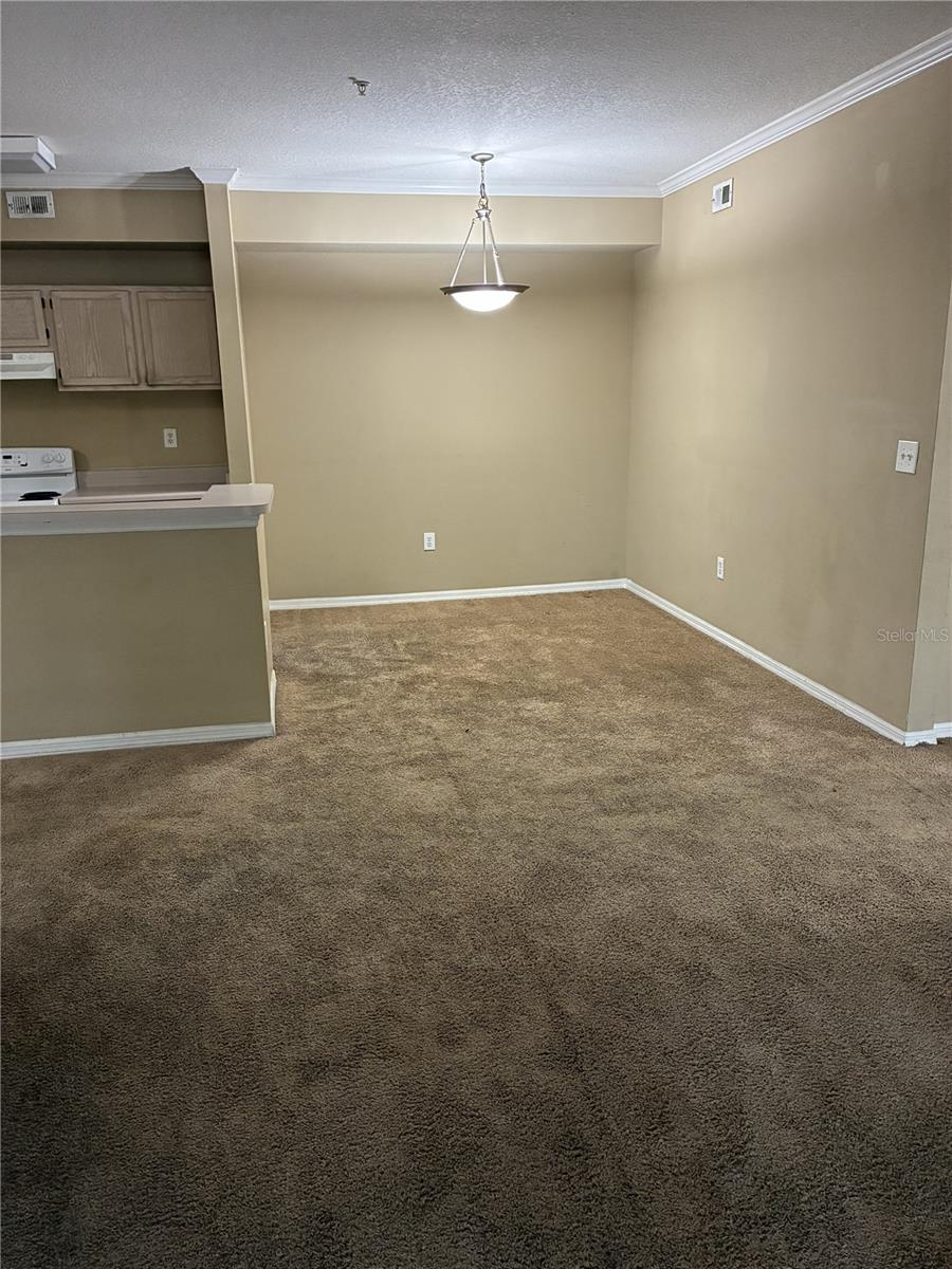 5618 PINNACLE HEIGHTS CIR #312, TAMPA, FL, 33624