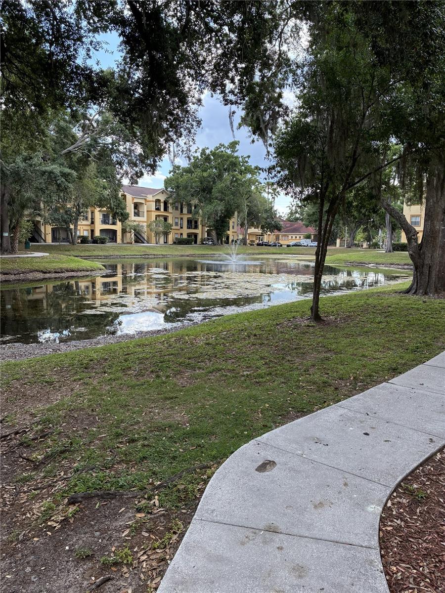 5618 PINNACLE HEIGHTS CIR #312, TAMPA, FL, 33624