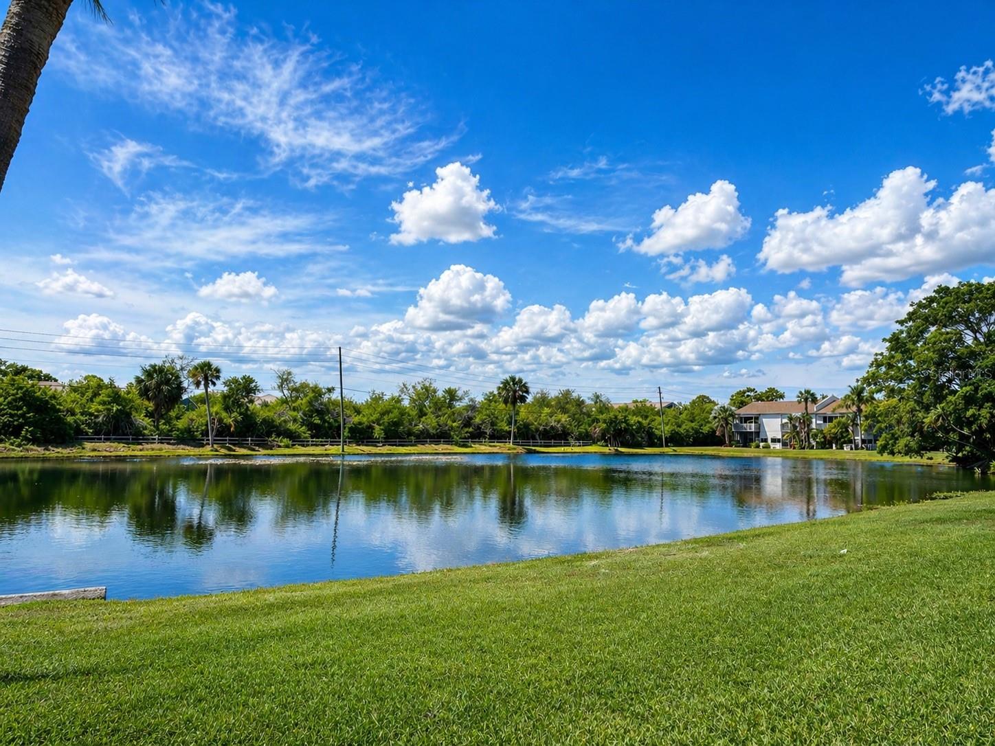 723 115TH AVE N #2106, ST PETERSBURG, FL, 33716