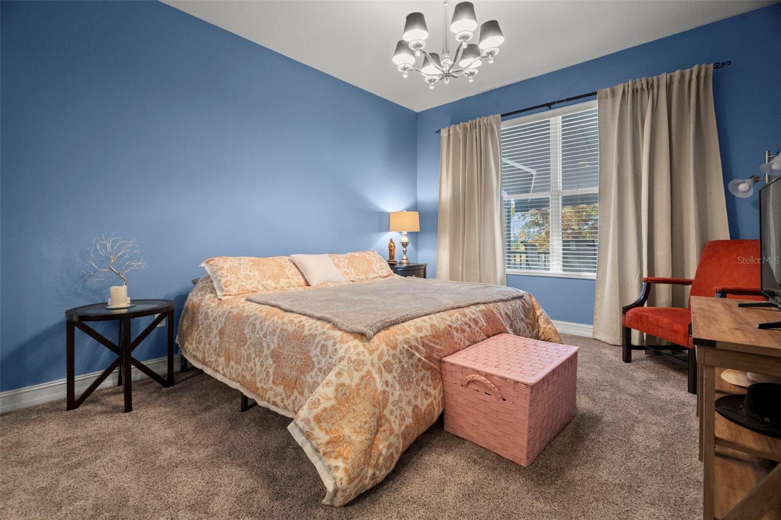 1342 RIBOLLA DR, PALM HARBOR, FL, 34683