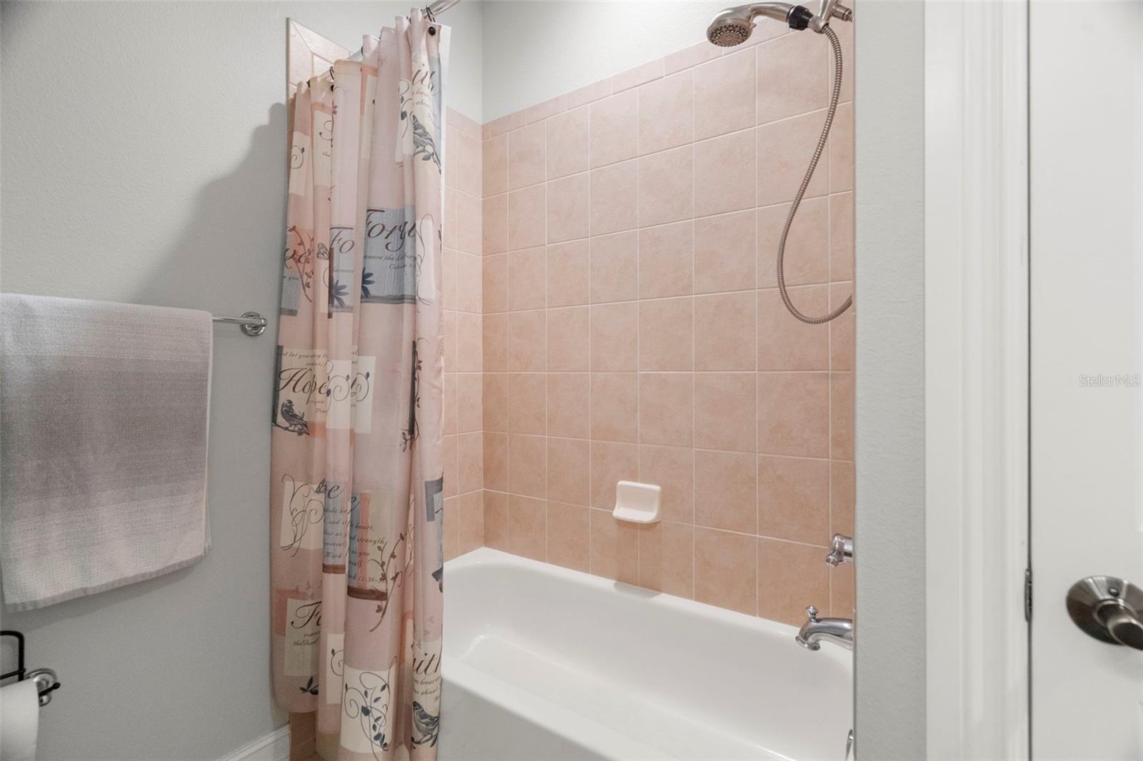 1342 RIBOLLA DR, PALM HARBOR, FL, 34683