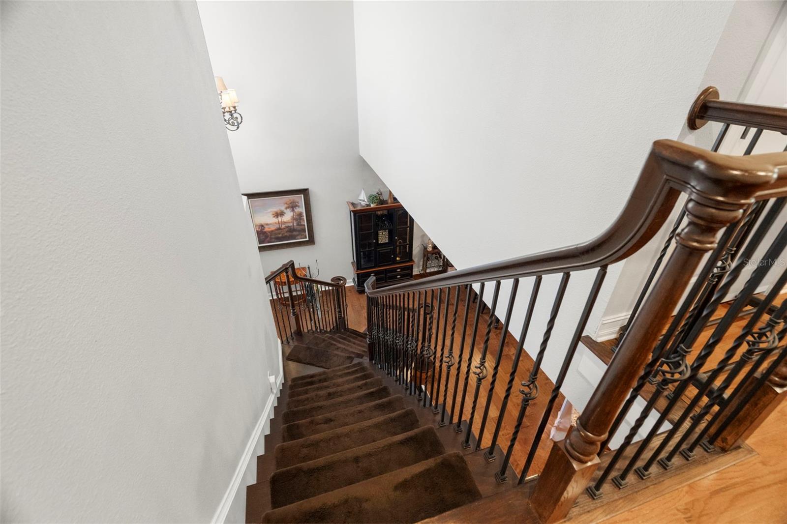 1342 RIBOLLA DR, PALM HARBOR, FL, 34683