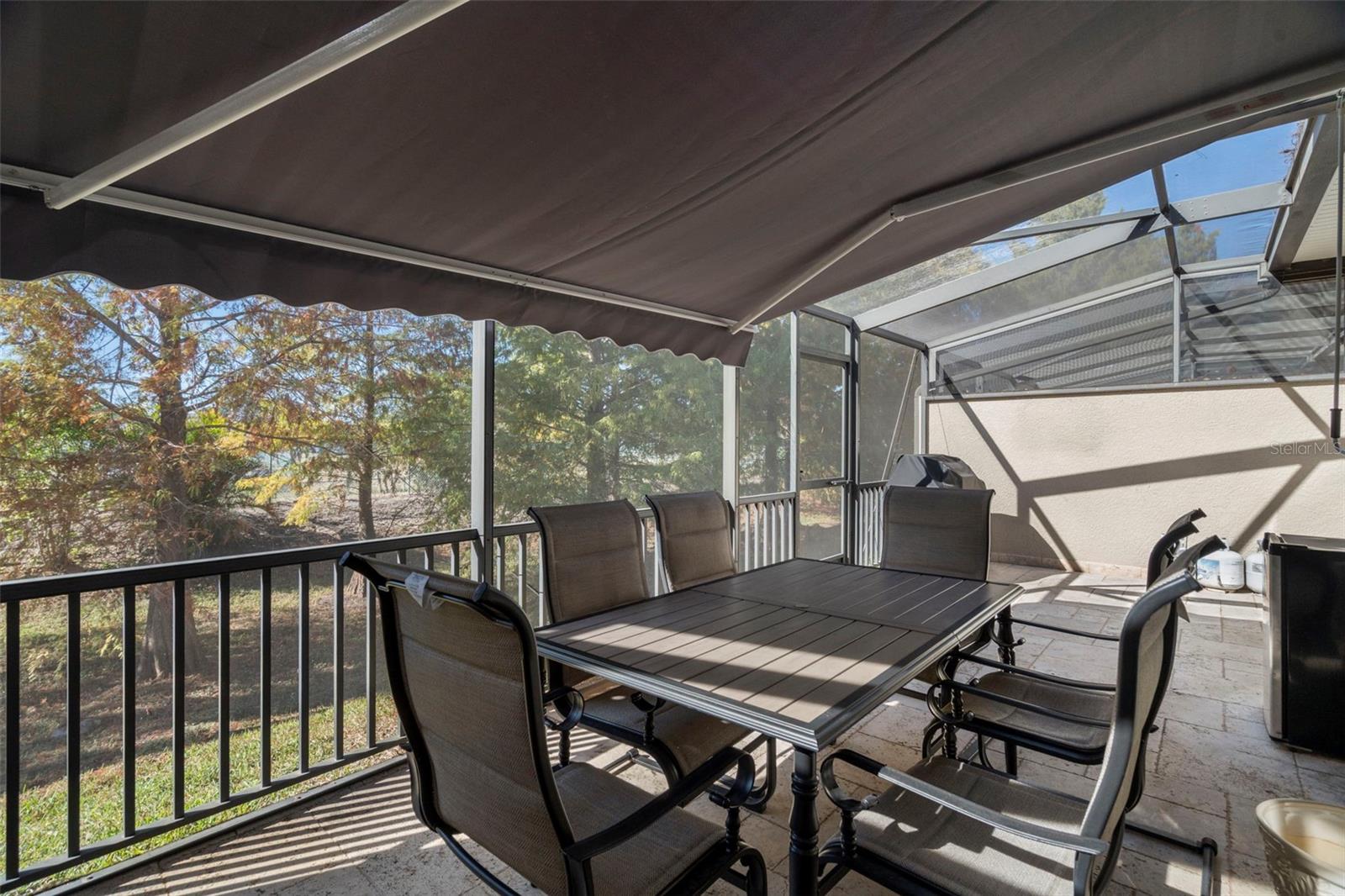 1342 RIBOLLA DR, PALM HARBOR, FL, 34683