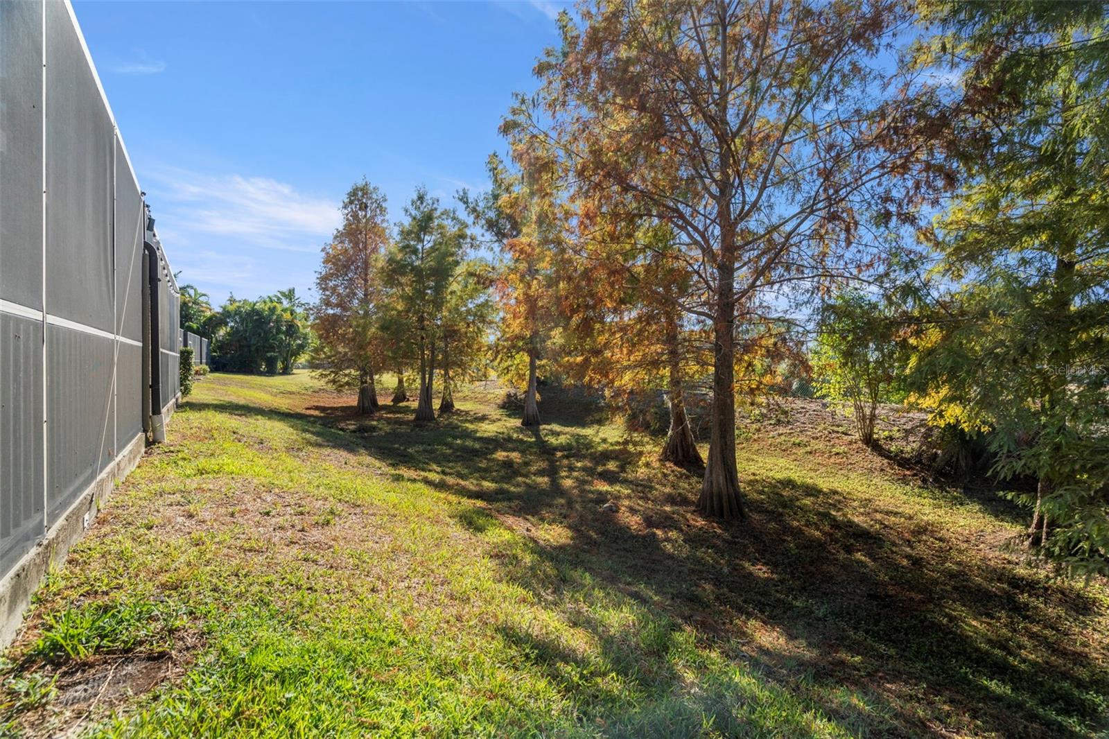 1342 RIBOLLA DR, PALM HARBOR, FL, 34683