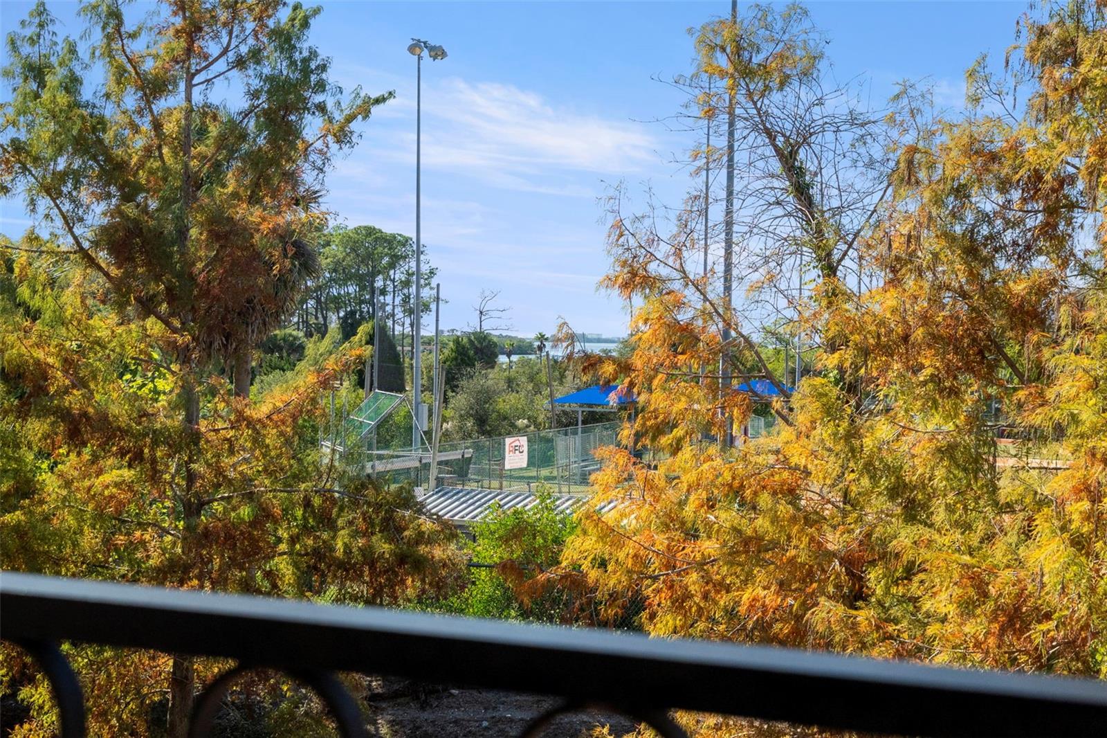 1342 RIBOLLA DR, PALM HARBOR, FL, 34683