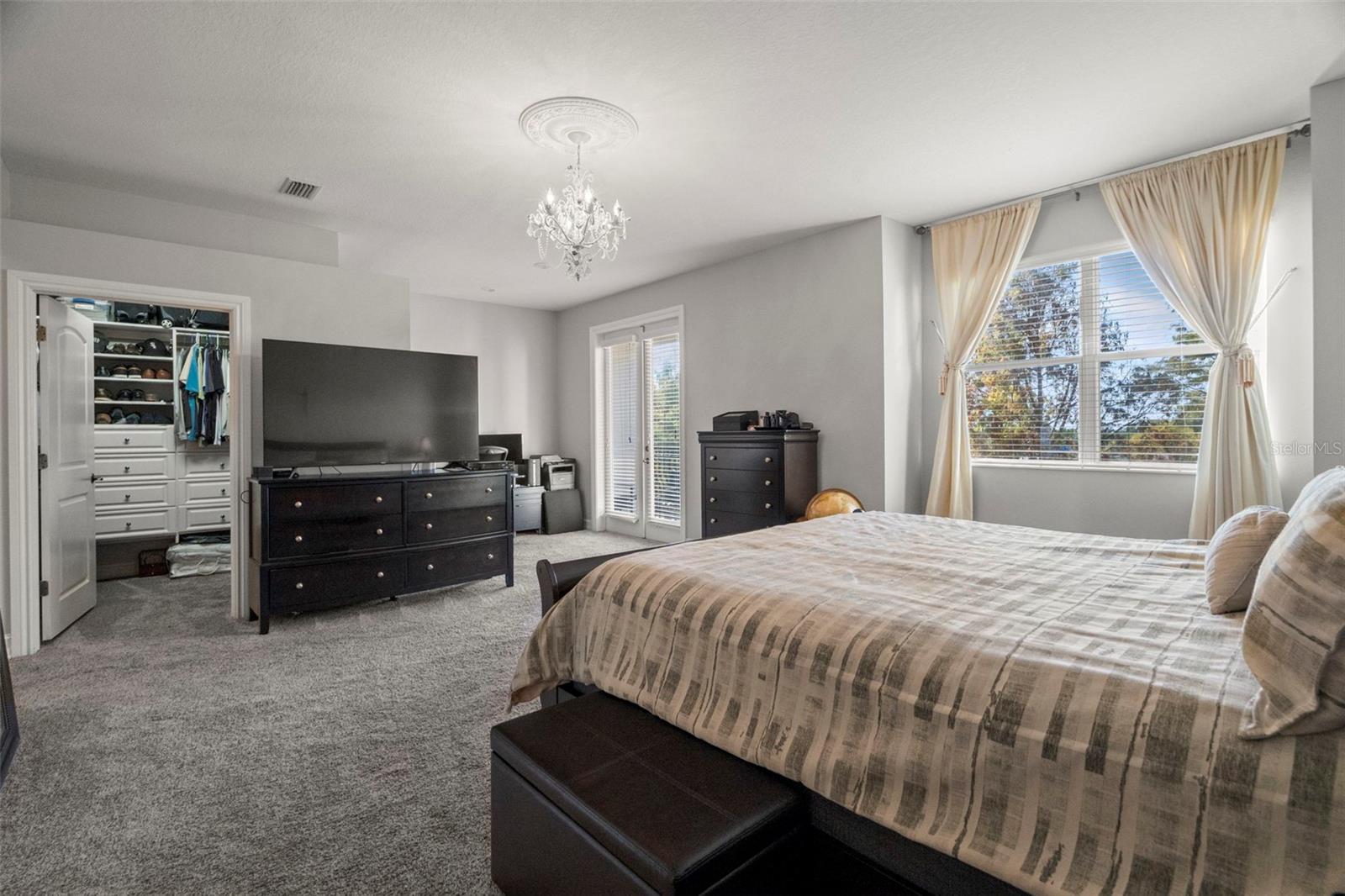 1342 RIBOLLA DR, PALM HARBOR, FL, 34683