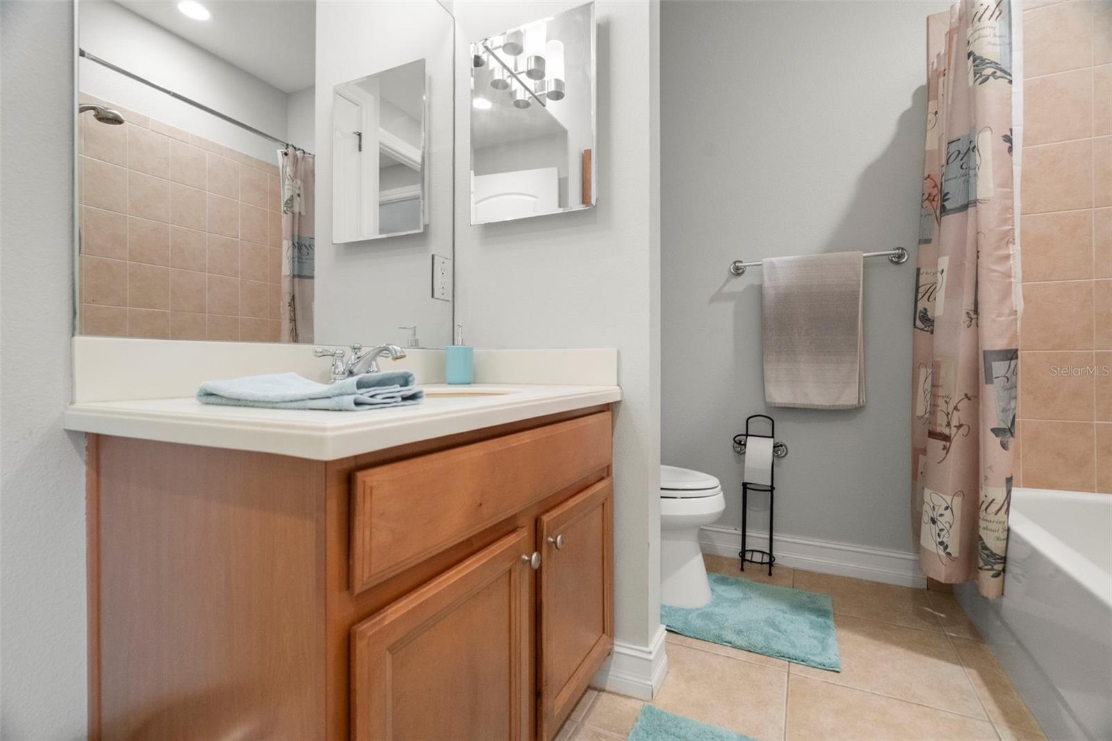 1342 RIBOLLA DR, PALM HARBOR, FL, 34683