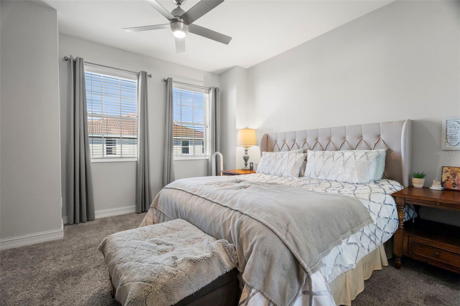 1342 RIBOLLA DR, PALM HARBOR, FL, 34683