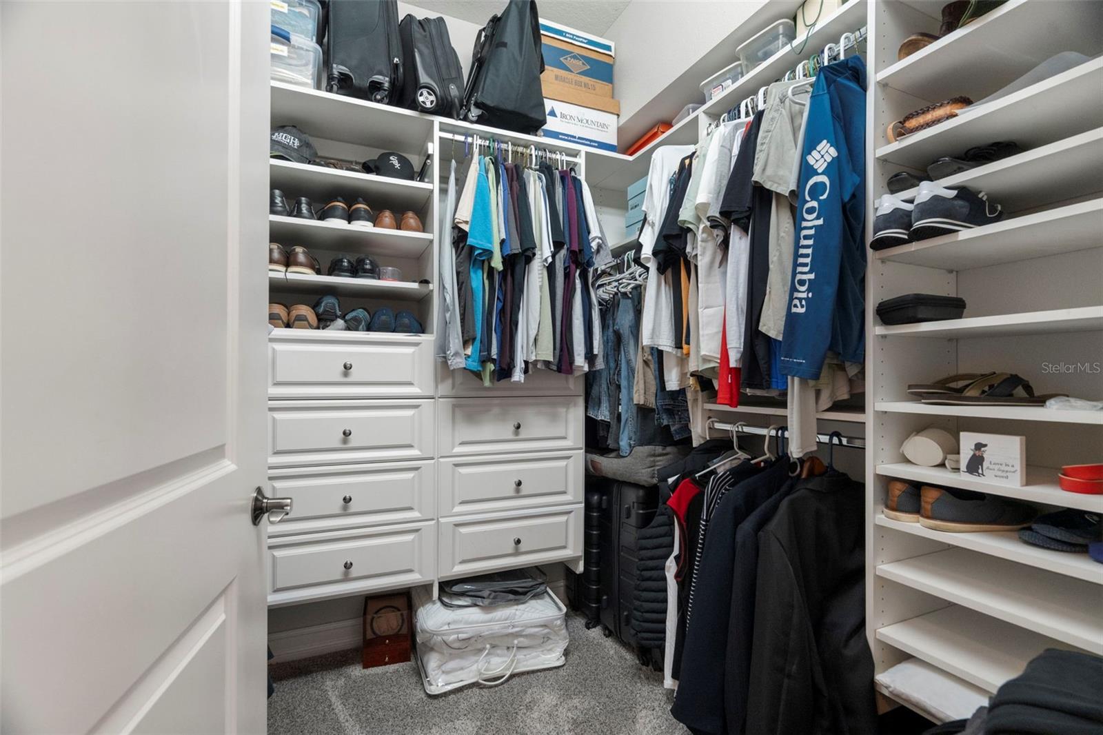 1342 RIBOLLA DR, PALM HARBOR, FL, 34683