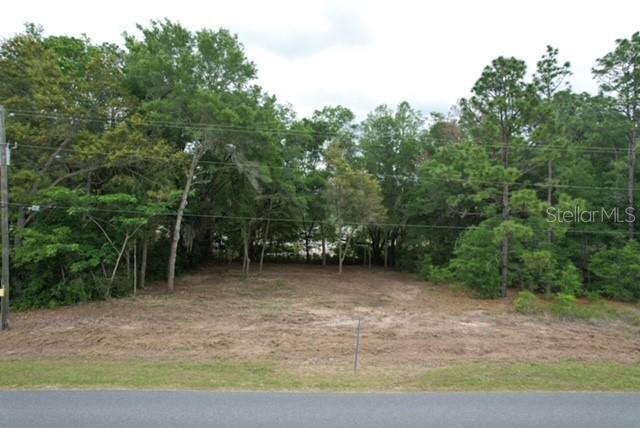 TBD SW BEACH BLVD, DUNNELLON, FL, 34431
