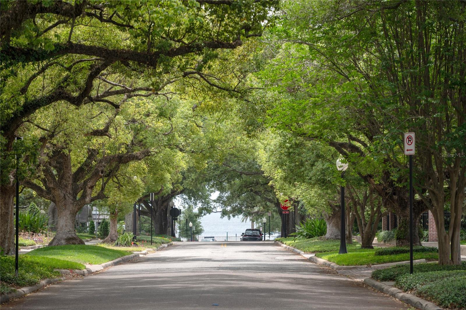 814 S WILLOW AVE, TAMPA, FL, 33606