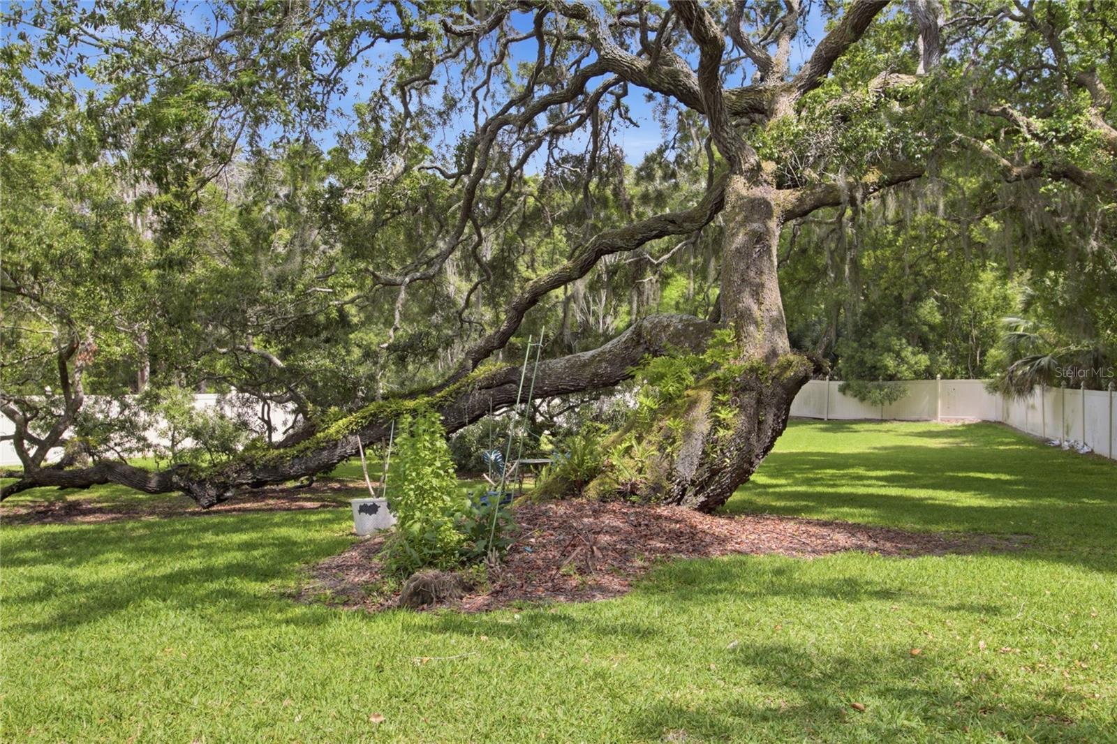 128 W GREENTREE LN, LAKE MARY, FL, 32746