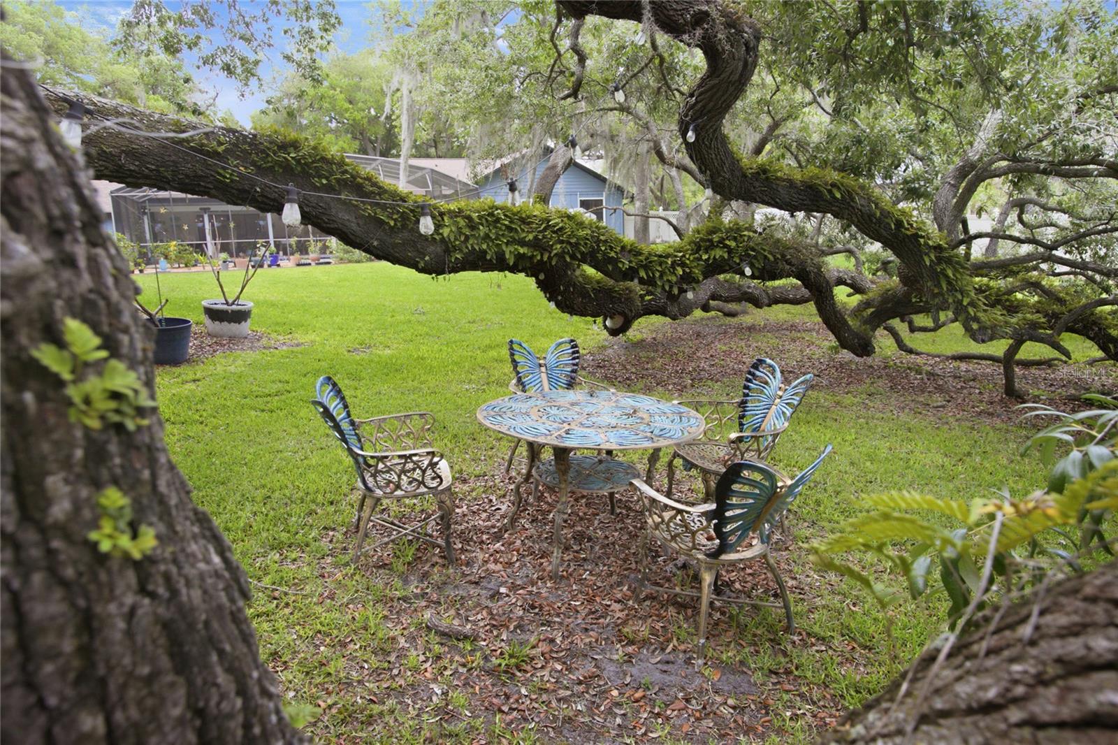 128 W GREENTREE LN, LAKE MARY, FL, 32746