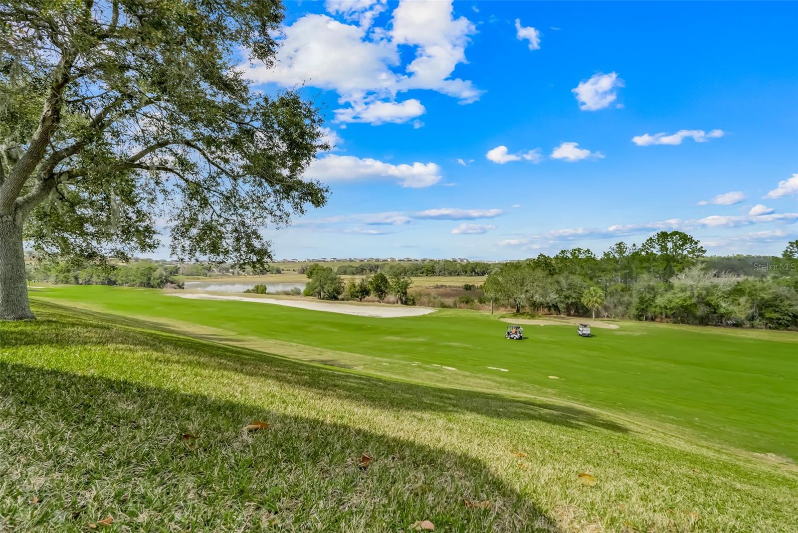 2390 CALEDONIAN ST, CLERMONT, FL, 34711