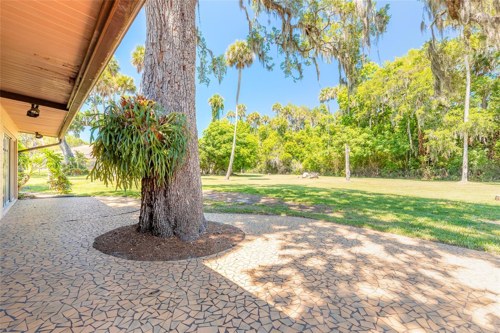 2811 SAULS ST, SOUTH DAYTONA, FL, 32119