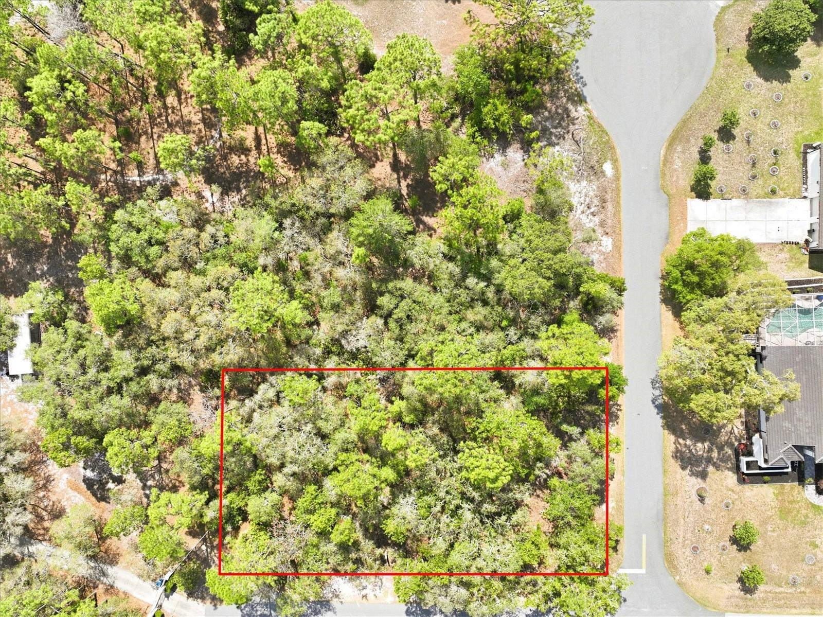 11026 GIG AVE, WEEKI WACHEE, FL, 34613