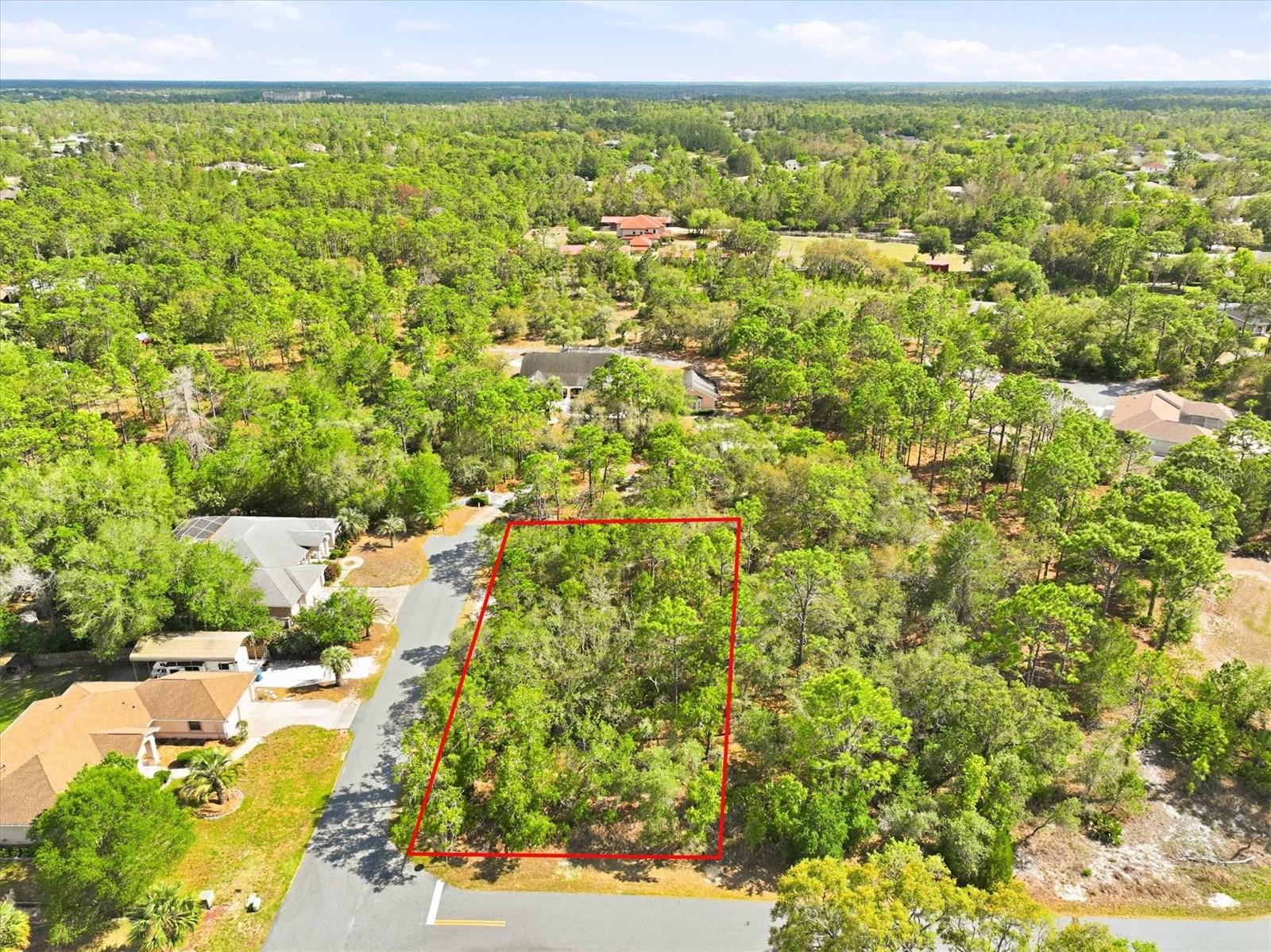 11026 GIG AVE, WEEKI WACHEE, FL, 34613