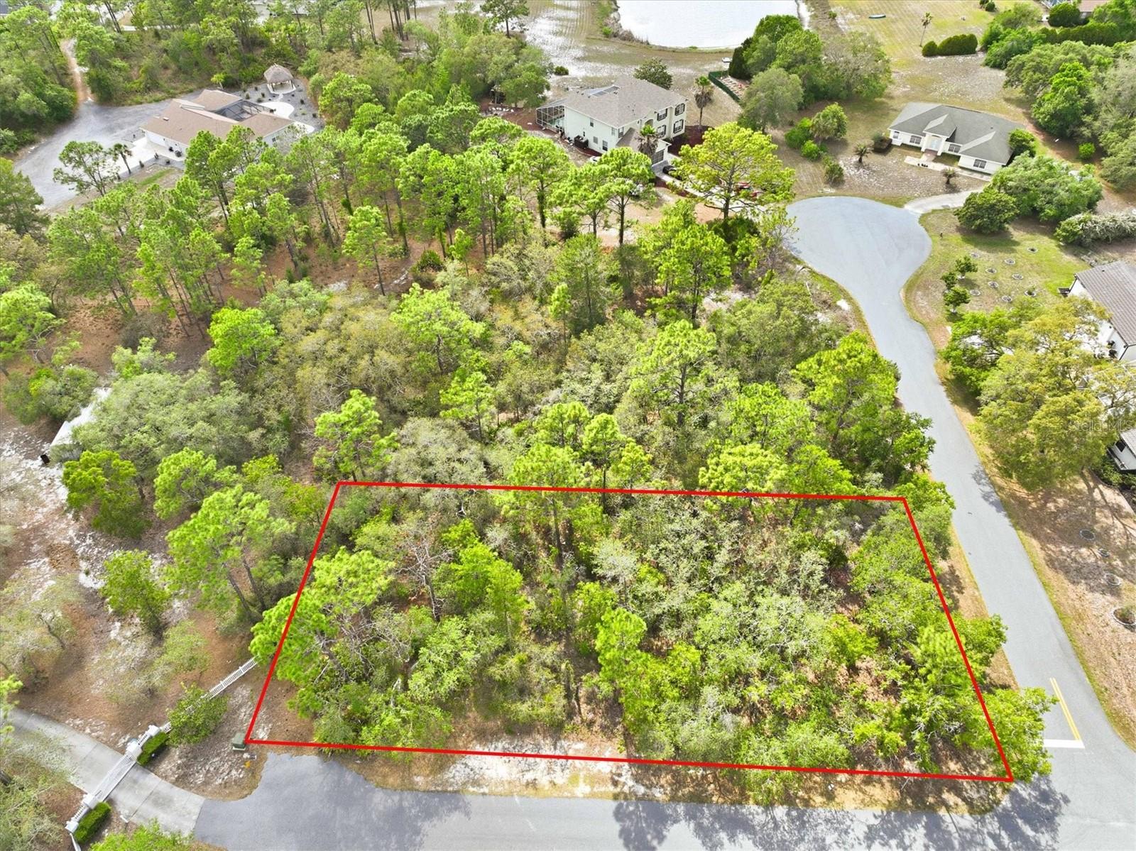 11026 GIG AVE, WEEKI WACHEE, FL, 34613