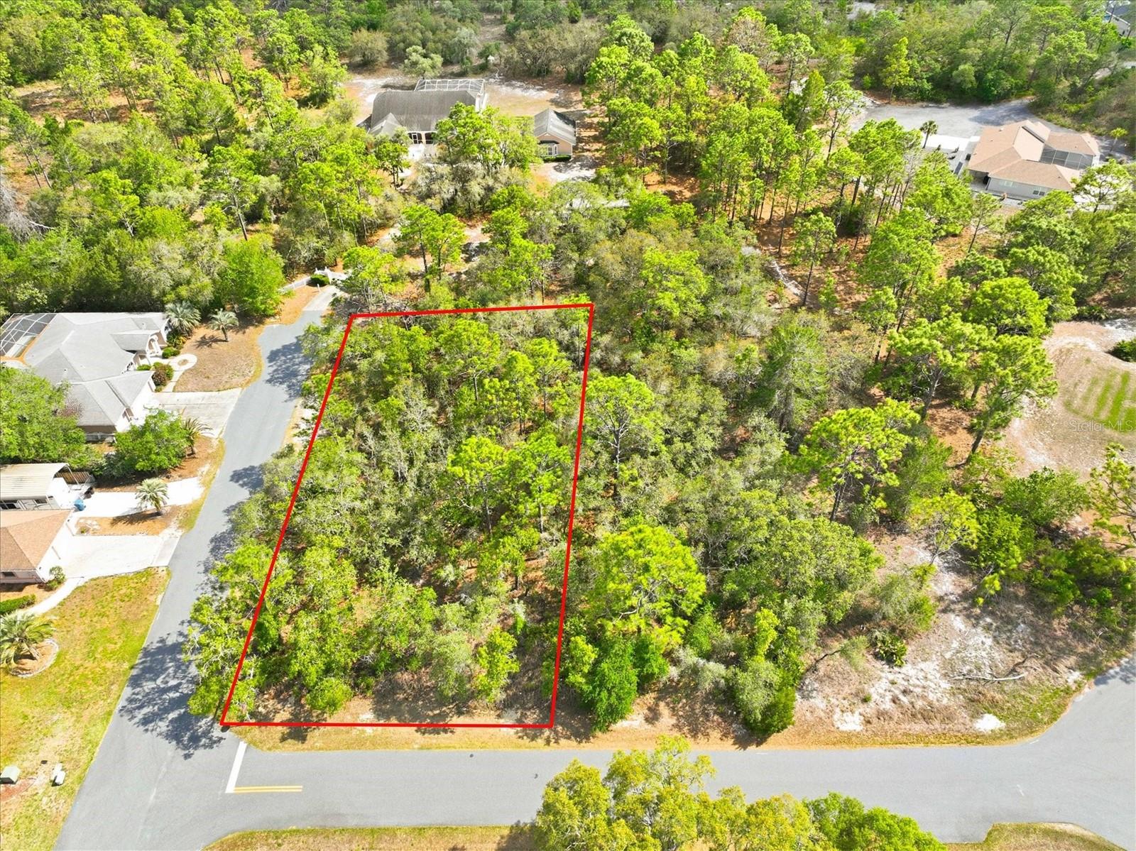 11026 GIG AVE, WEEKI WACHEE, FL, 34613