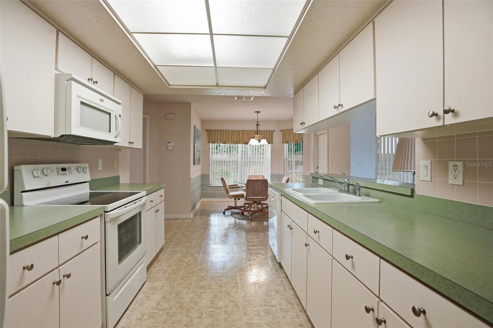 11030 LINDEN DR, SPRING HILL, FL, 34609