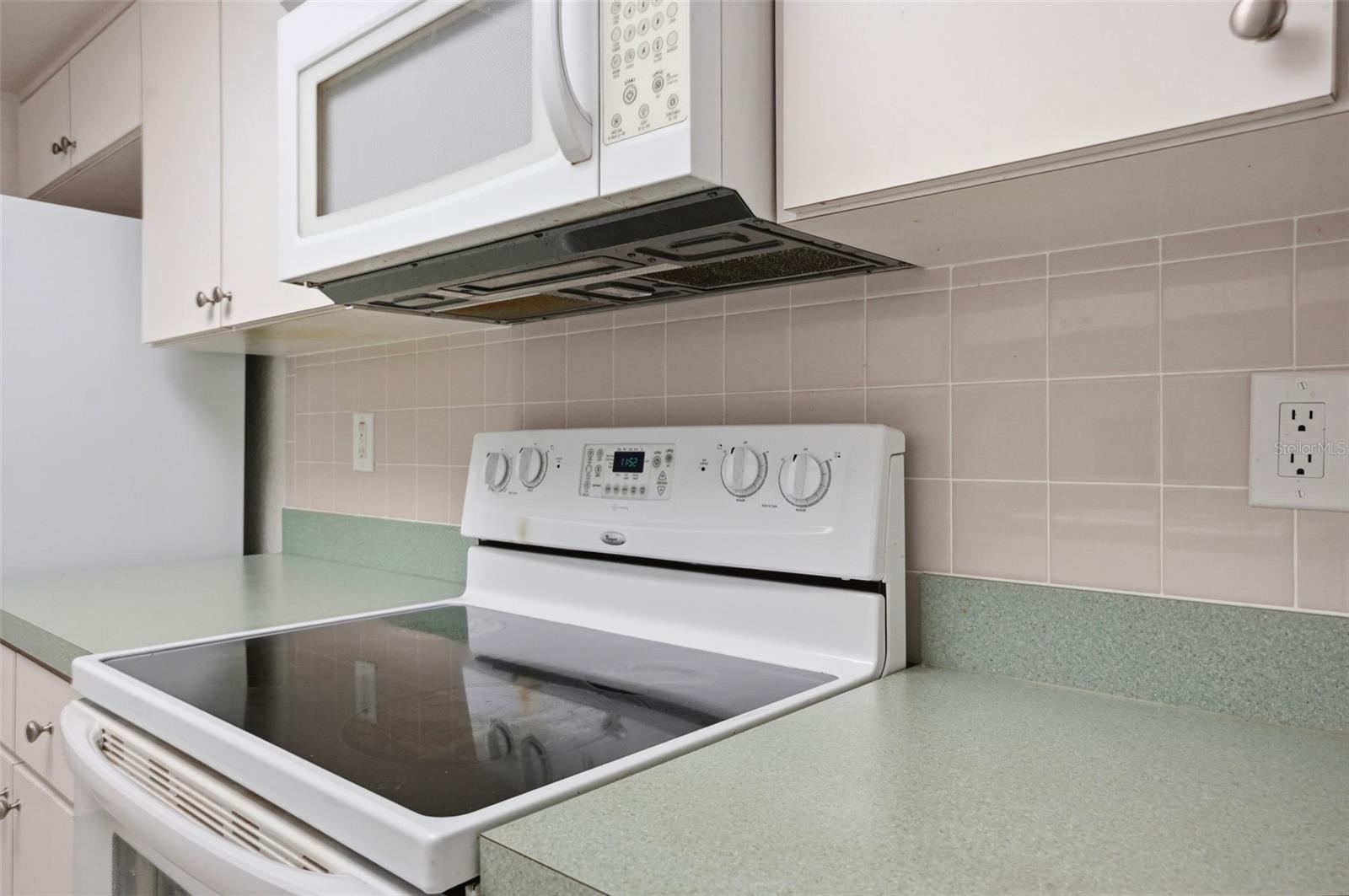 11030 LINDEN DR, SPRING HILL, FL, 34609