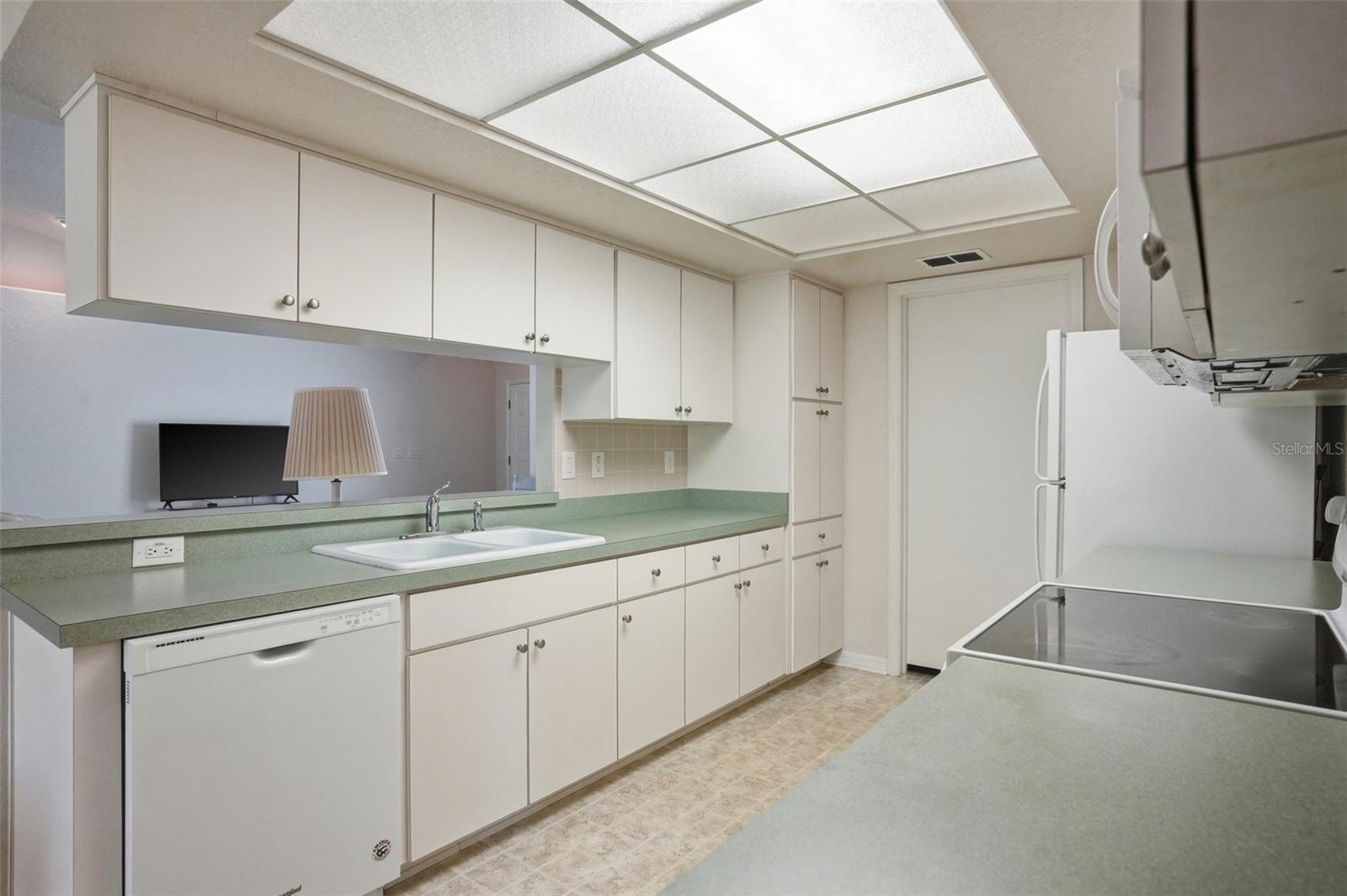 11030 LINDEN DR, SPRING HILL, FL, 34609