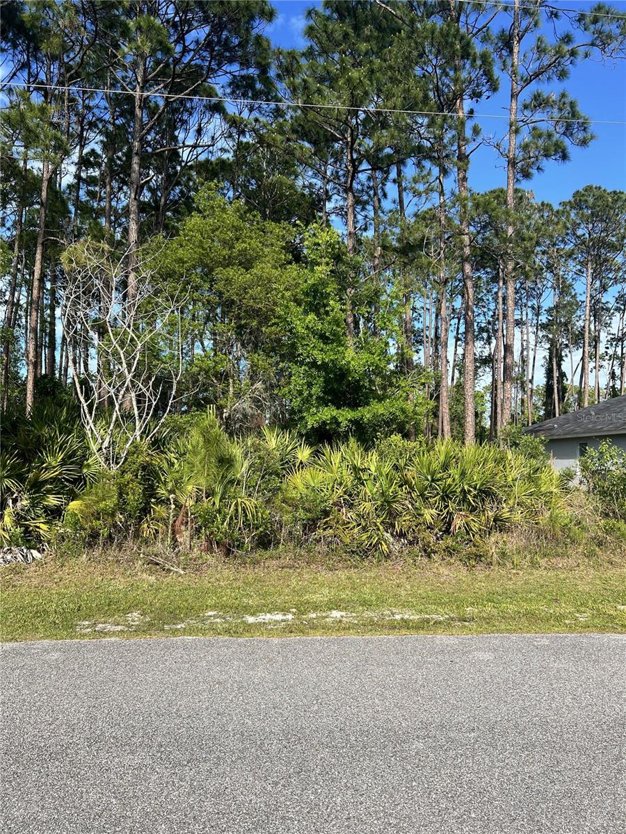 153 ULLIAN TRL, PALM COAST, FL, 32164