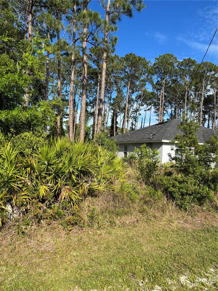 153 ULLIAN TRL, PALM COAST, FL, 32164