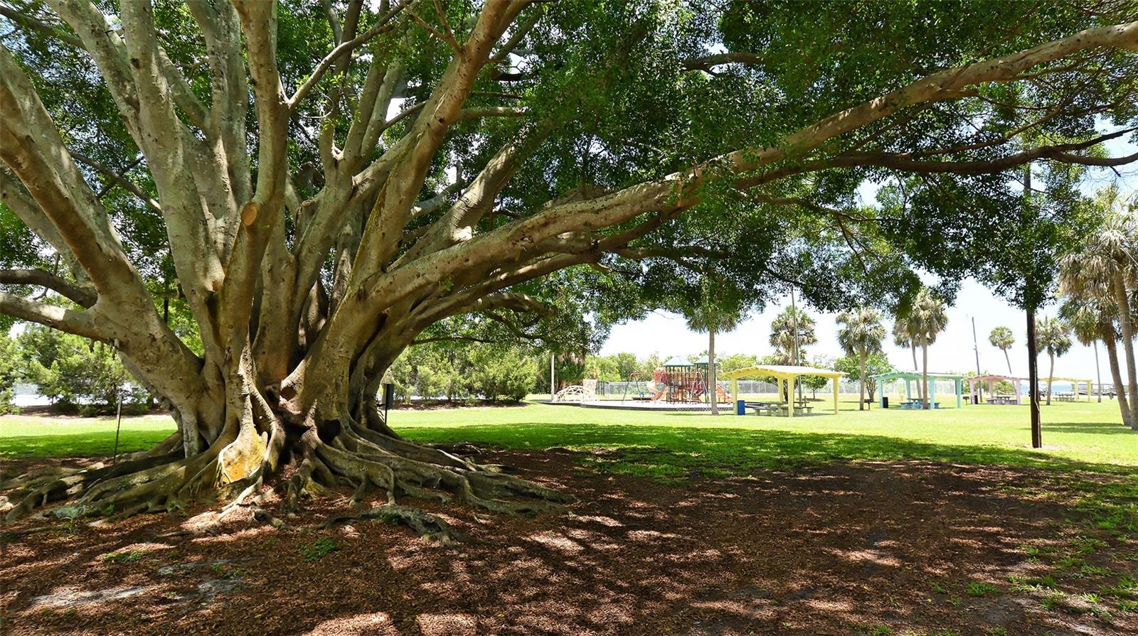 1554 PLEASANT RD #J5, BRADENTON, FL, 34207