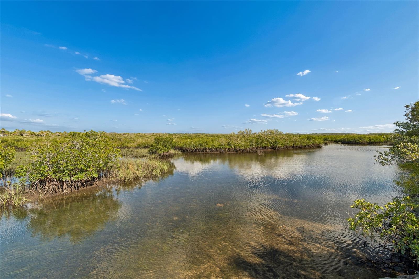 10501 PINE ISLAND DR, WEEKI WACHEE, FL, 34607