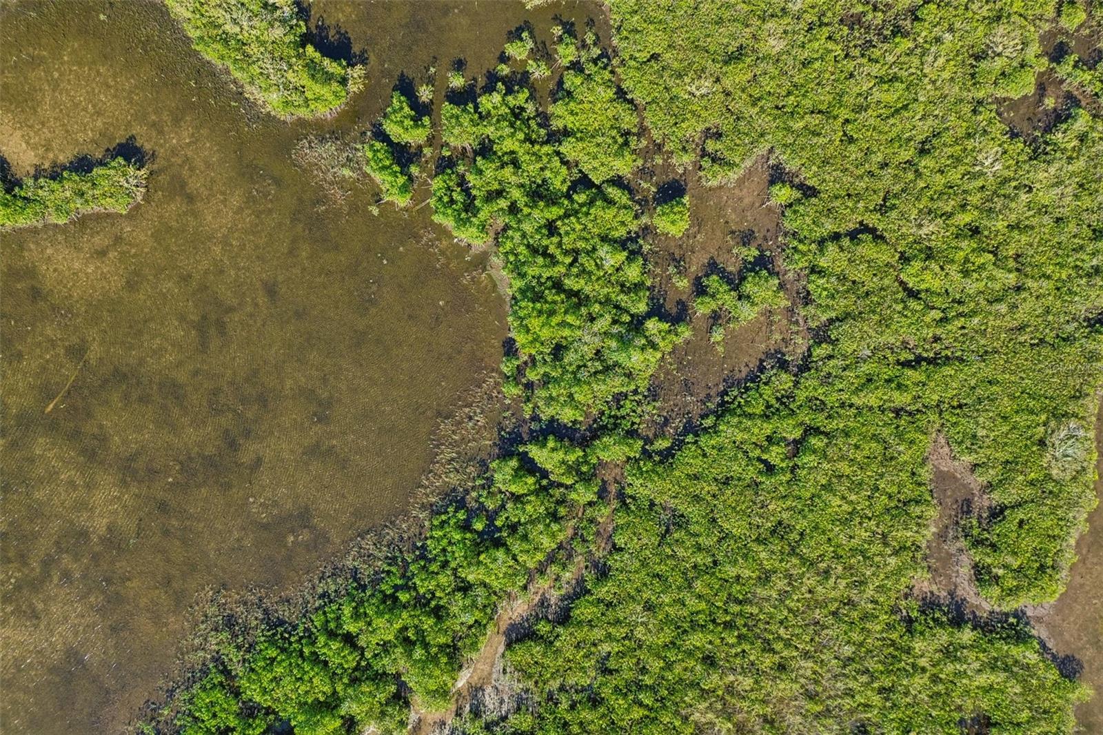 10501 PINE ISLAND DR, WEEKI WACHEE, FL, 34607