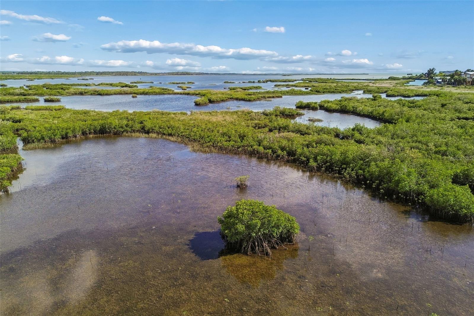 10501 PINE ISLAND DR, WEEKI WACHEE, FL, 34607