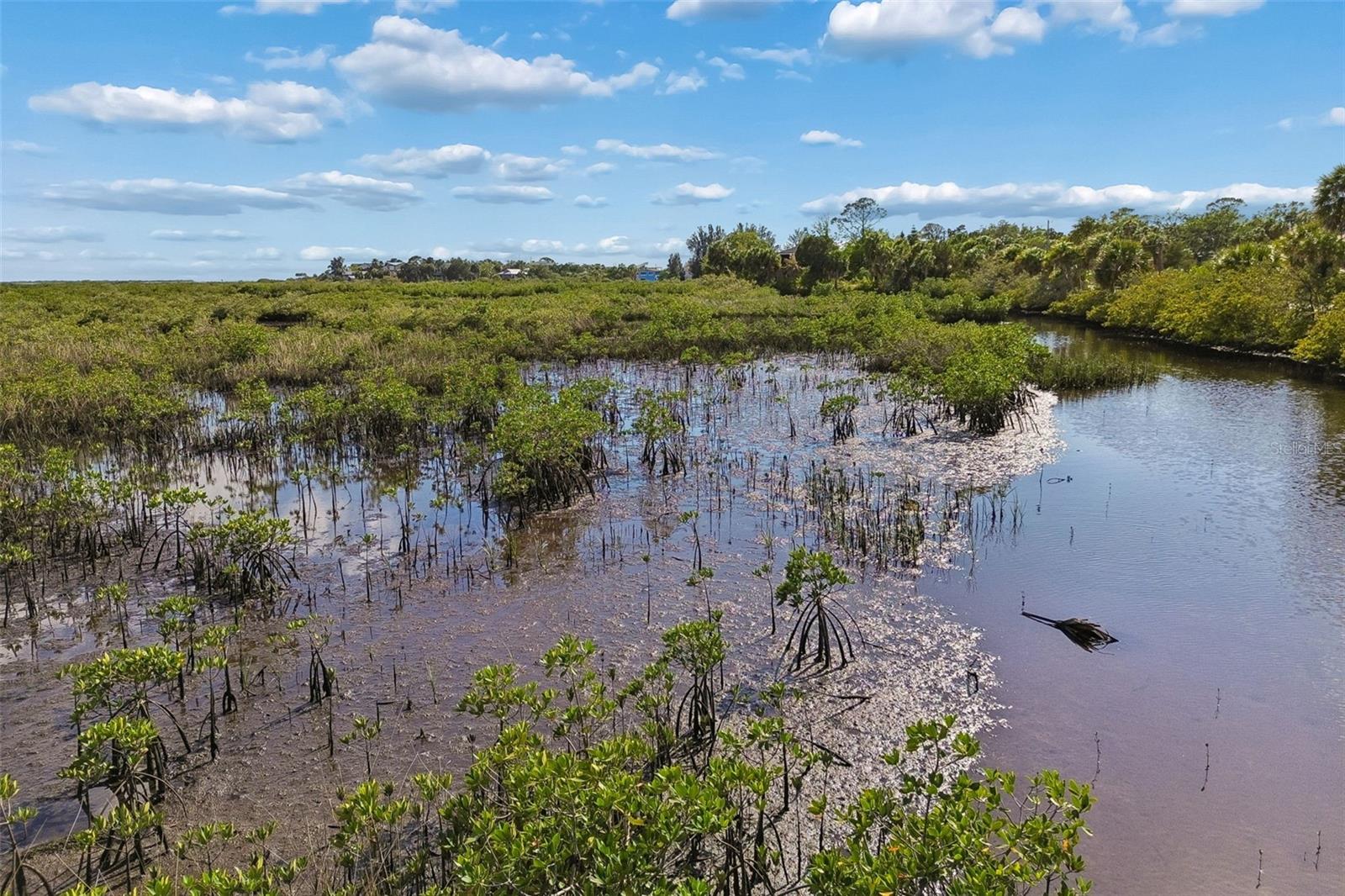 10501 PINE ISLAND DR, WEEKI WACHEE, FL, 34607