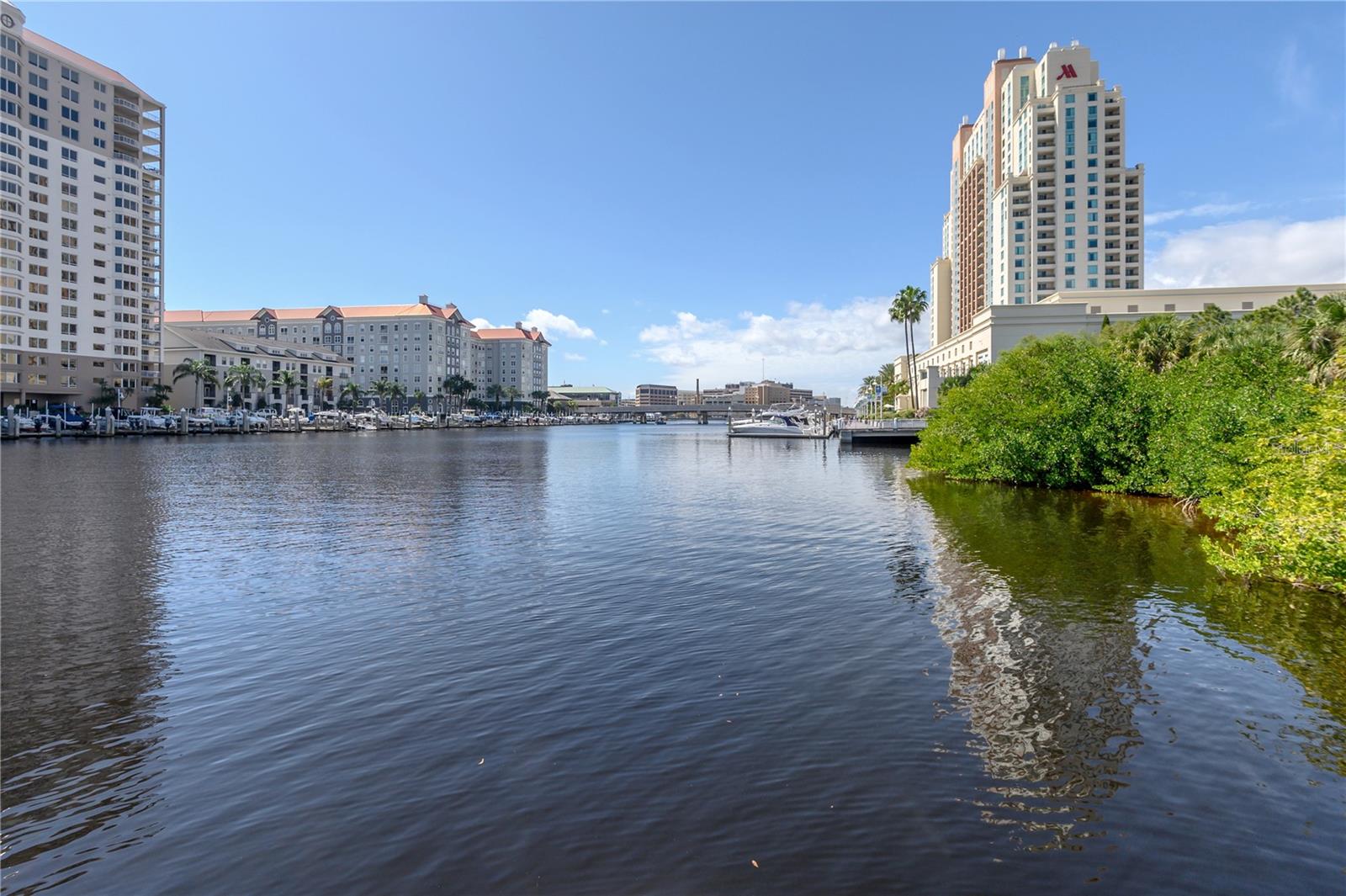 709 MAINSAIL DR #709, TAMPA, FL, 33602