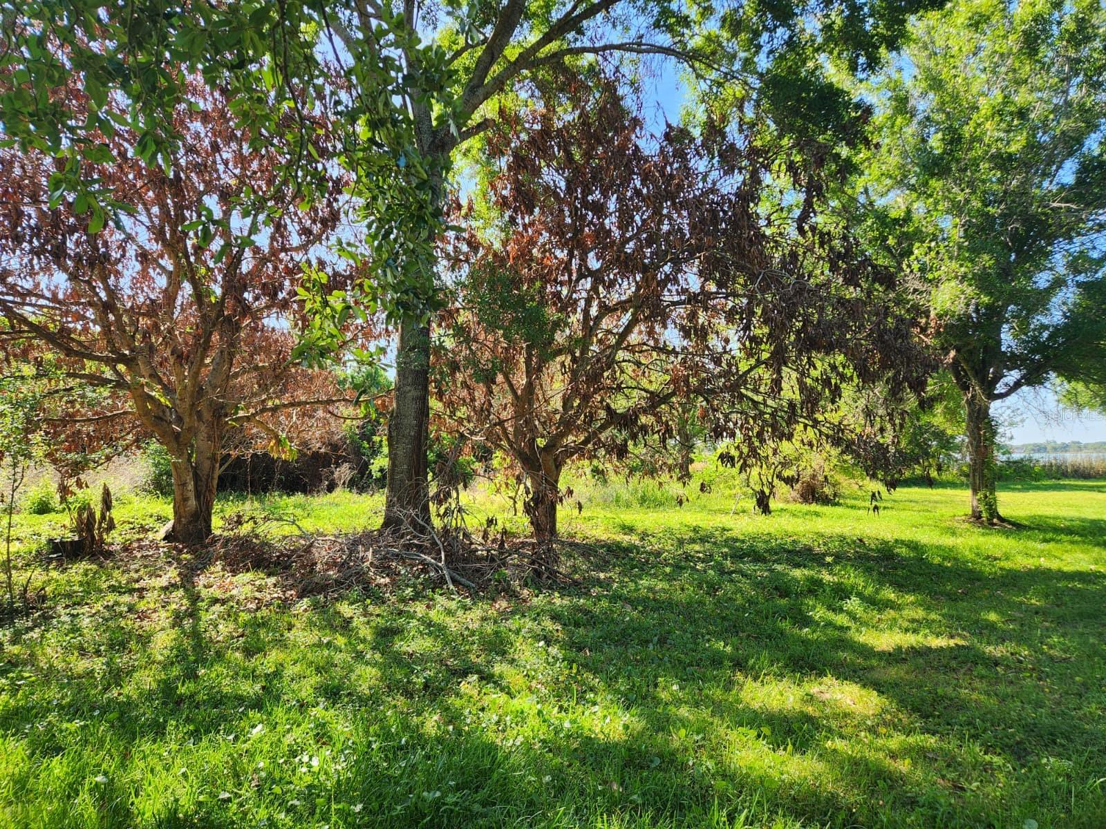 3898 & 3910 W WASHINGTON ST, ORLANDO, FL, 32805