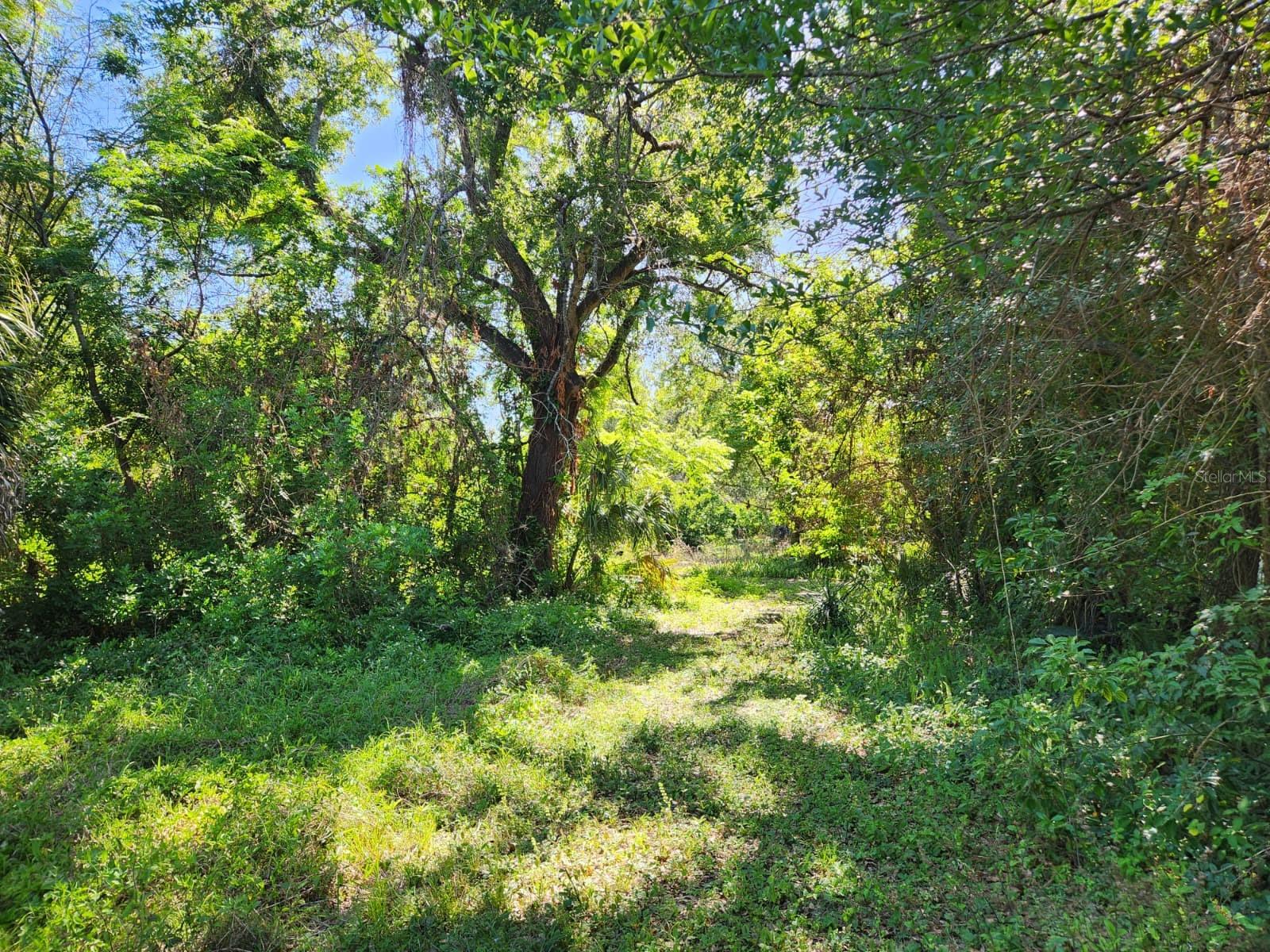 3898 & 3910 W WASHINGTON ST, ORLANDO, FL, 32805