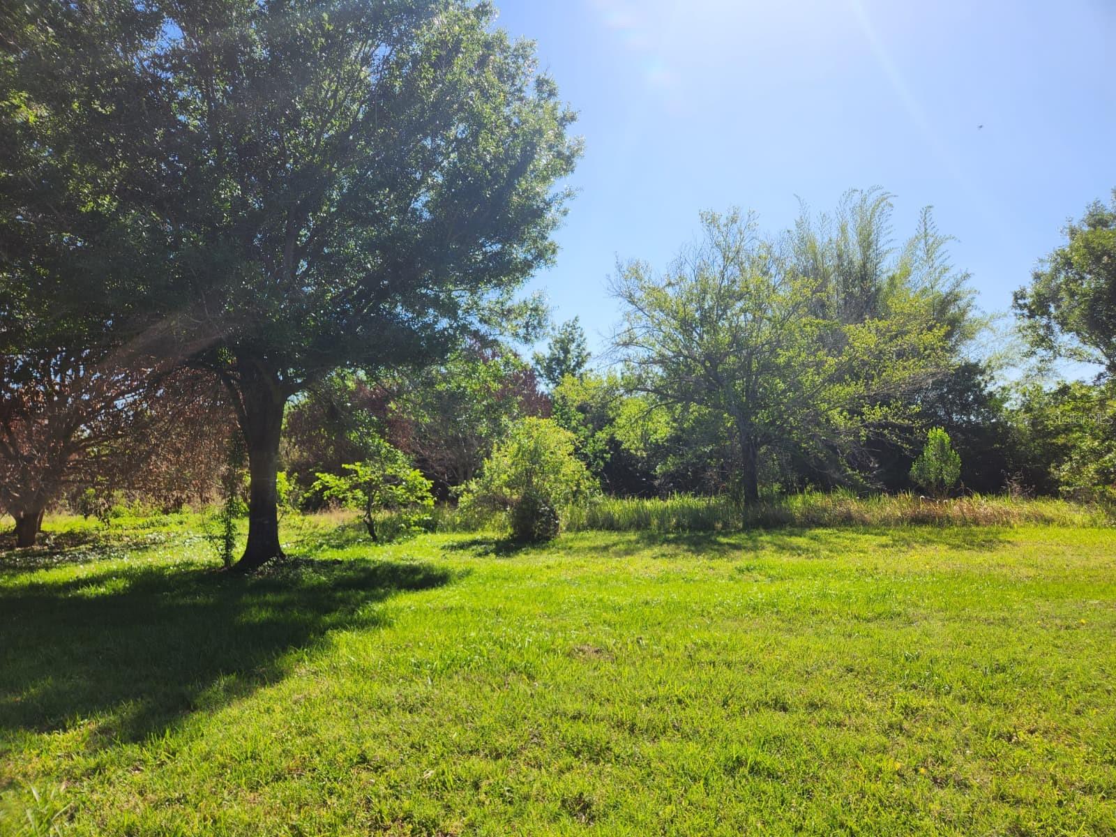 3898 & 3910 W WASHINGTON ST, ORLANDO, FL, 32805