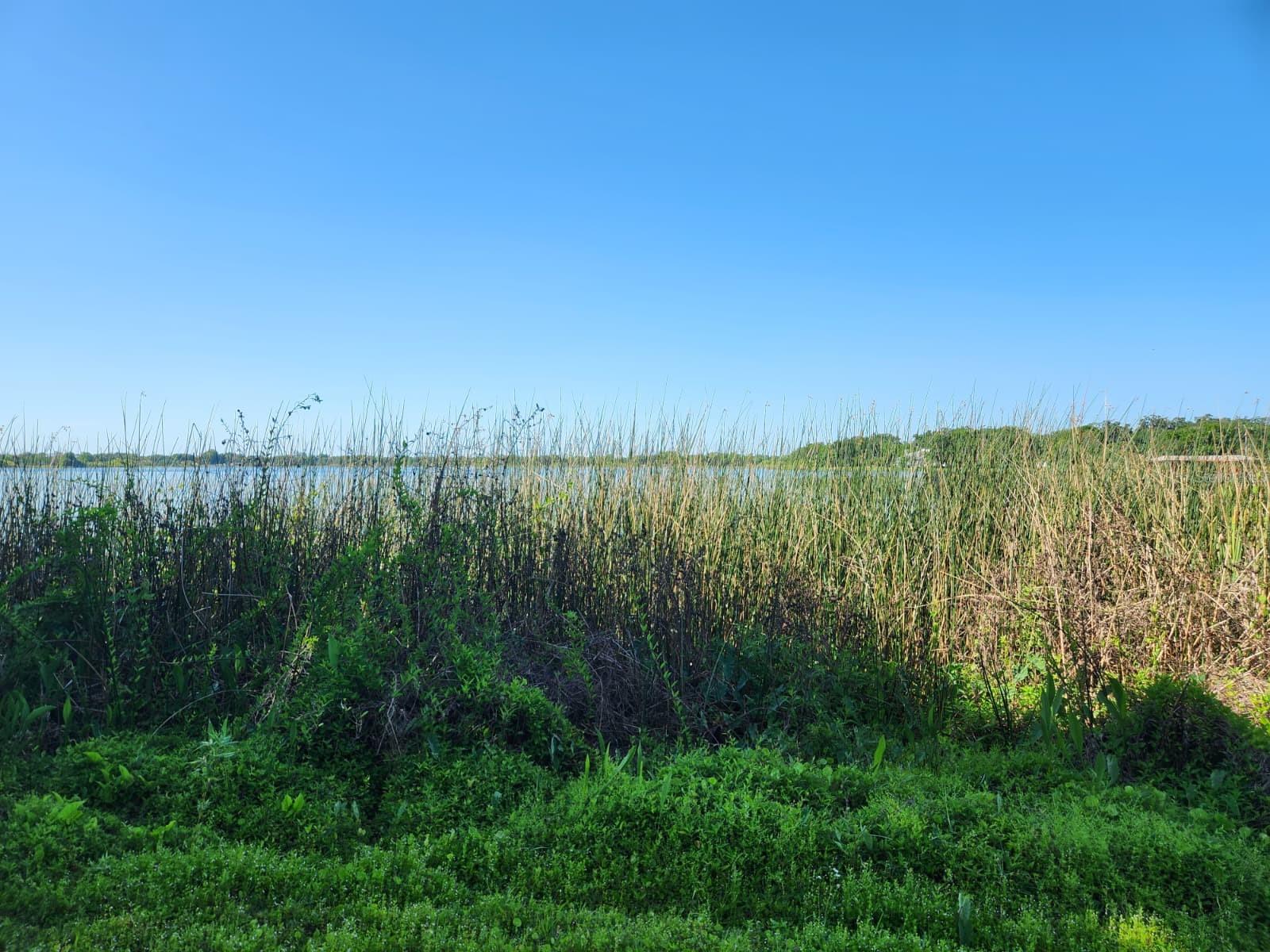 3898 & 3910 W WASHINGTON ST, ORLANDO, FL, 32805