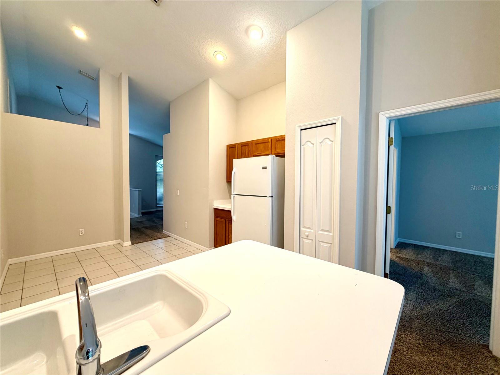 10450 LUCAYA DR, TAMPA, FL, 33647