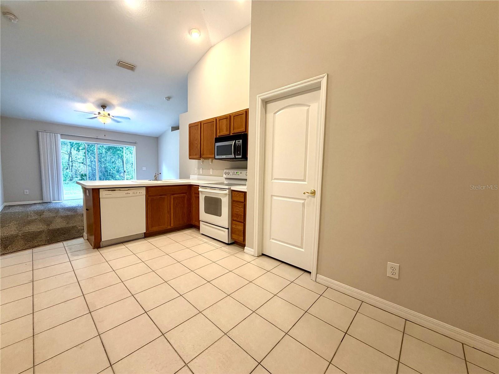 10450 LUCAYA DR, TAMPA, FL, 33647