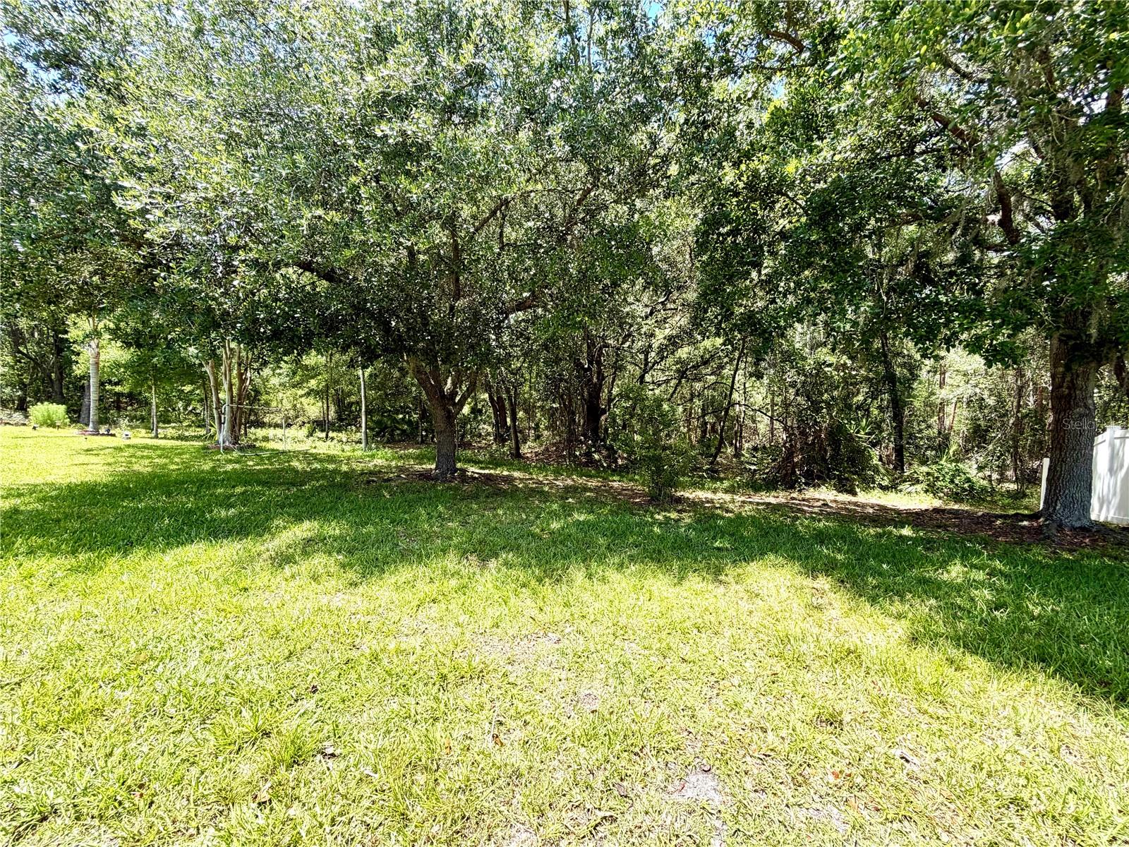 10450 LUCAYA DR, TAMPA, FL, 33647