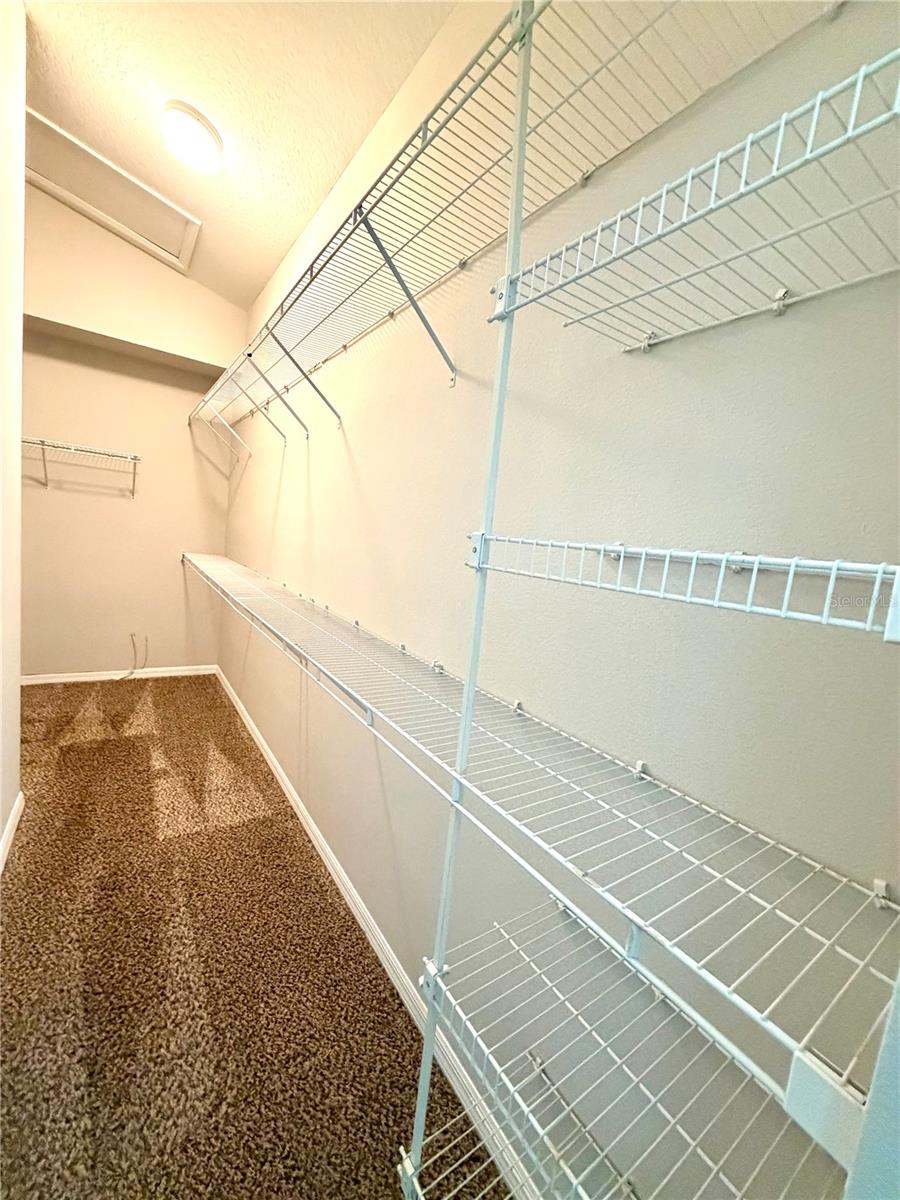 10450 LUCAYA DR, TAMPA, FL, 33647