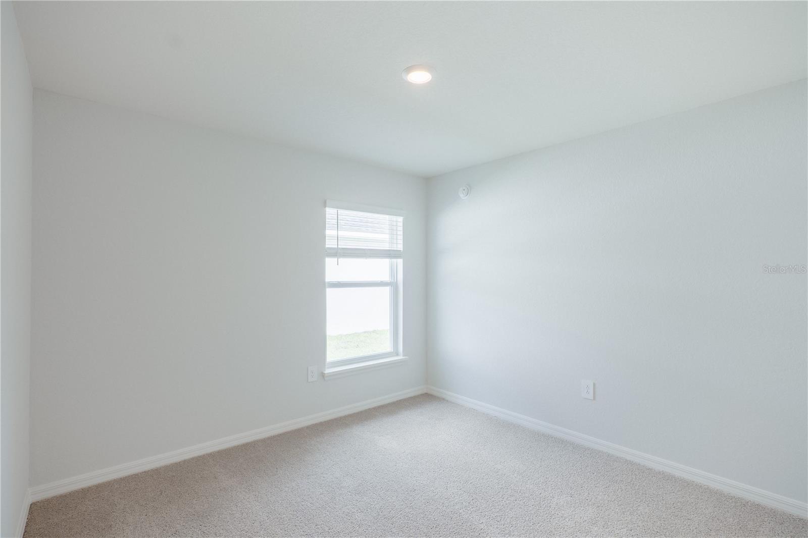 6058 MANGROVE CREEK RD, WIMAUMA, FL, 33598