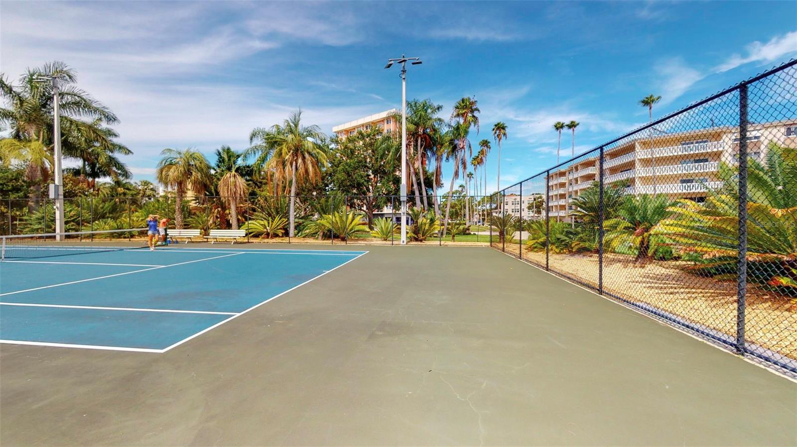 1120 N SHORE DR NE #501, ST PETERSBURG, FL, 33701