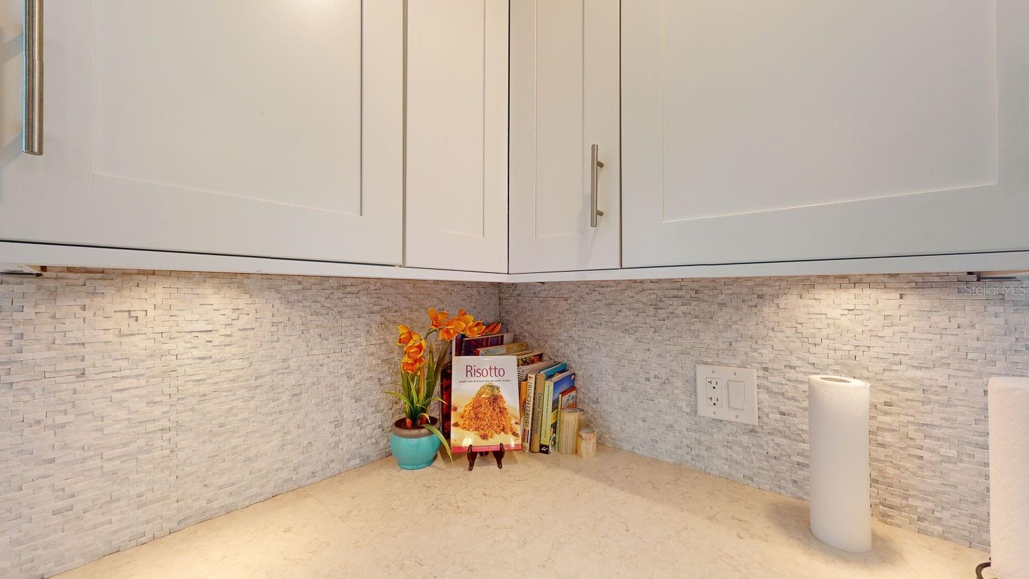 1120 N SHORE DR NE #501, ST PETERSBURG, FL, 33701