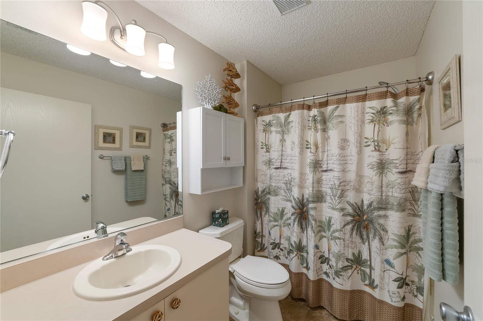 2427 SOUTHERN OAK ST, THE VILLAGES, FL, 32162